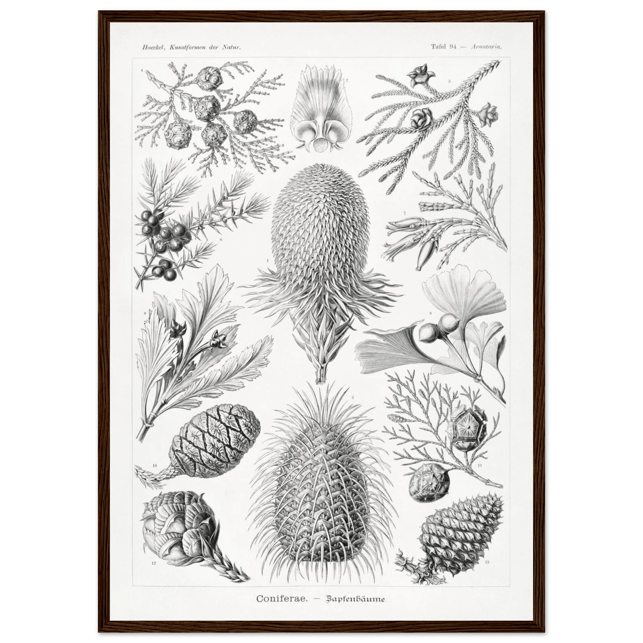 269df58f-6d8d-4e01-aa83-993ae5c4aa0b