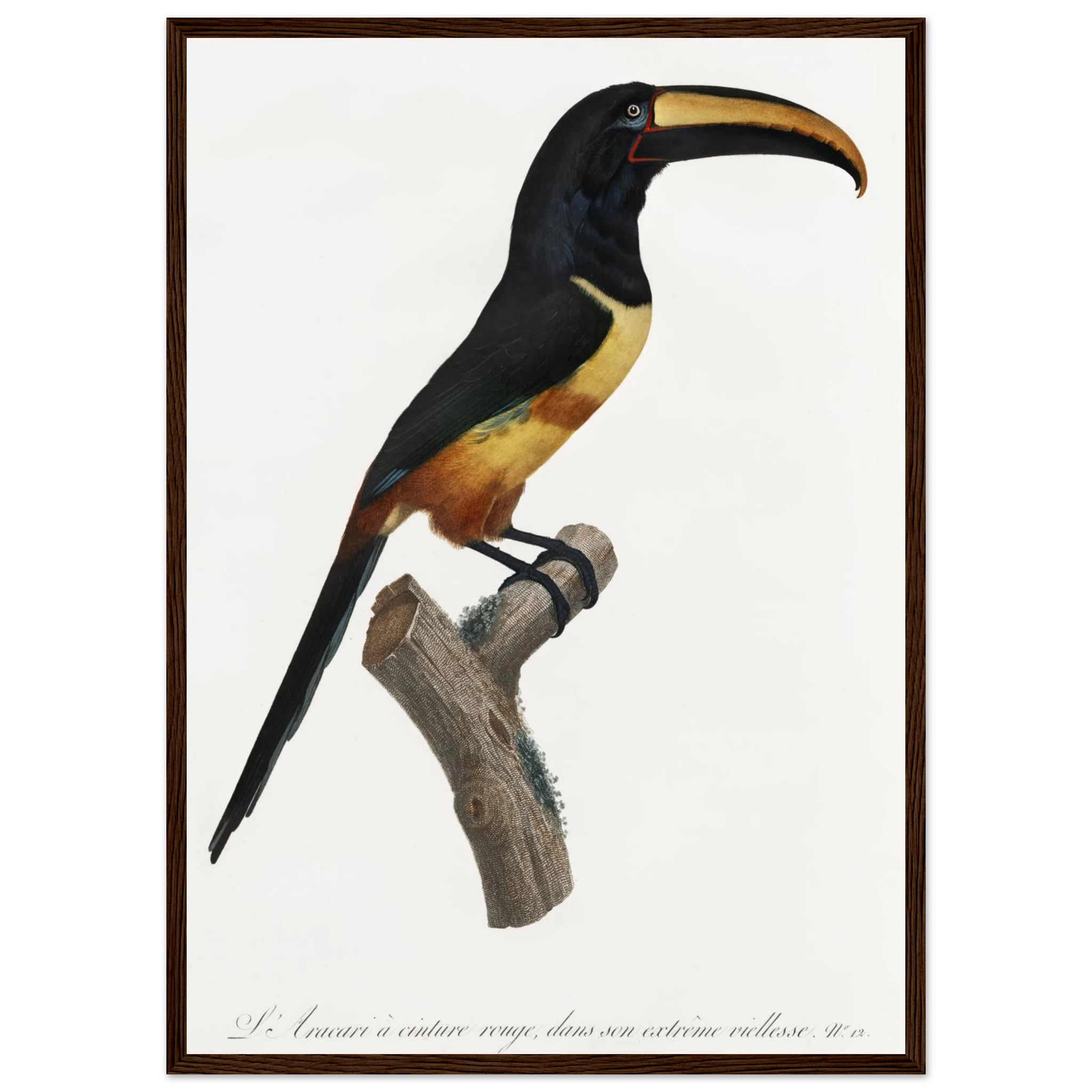 26a065dc-1108-4e07-a15e-d8078abf3b2f