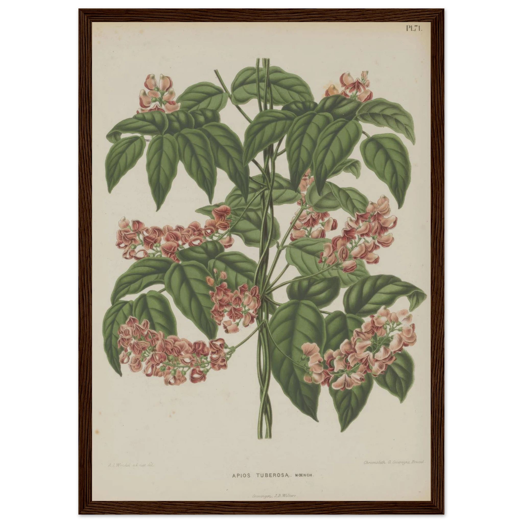 26ae19fe-aa99-476d-8140-269f6bb6c9a5