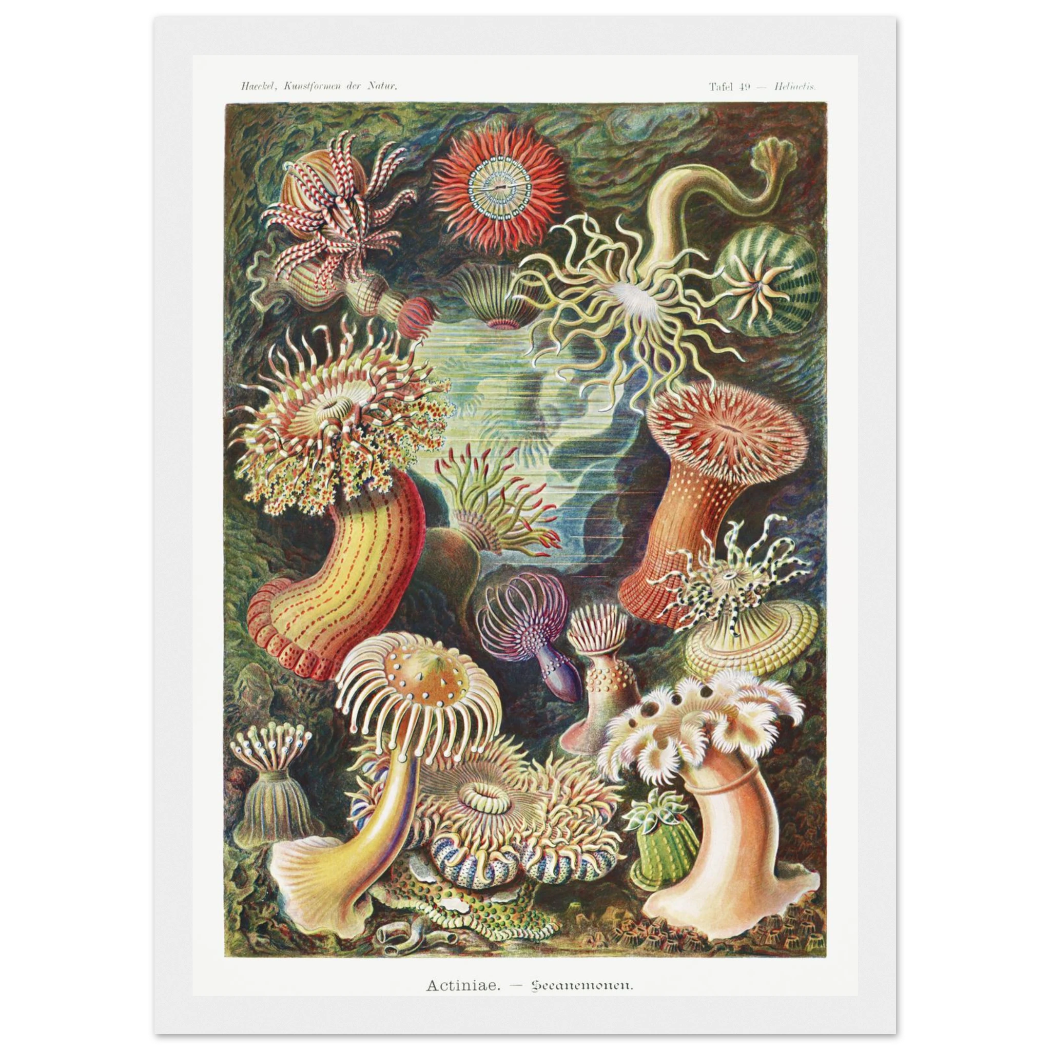 26c62a52-2779-4d05-a850-9cc868648f0f