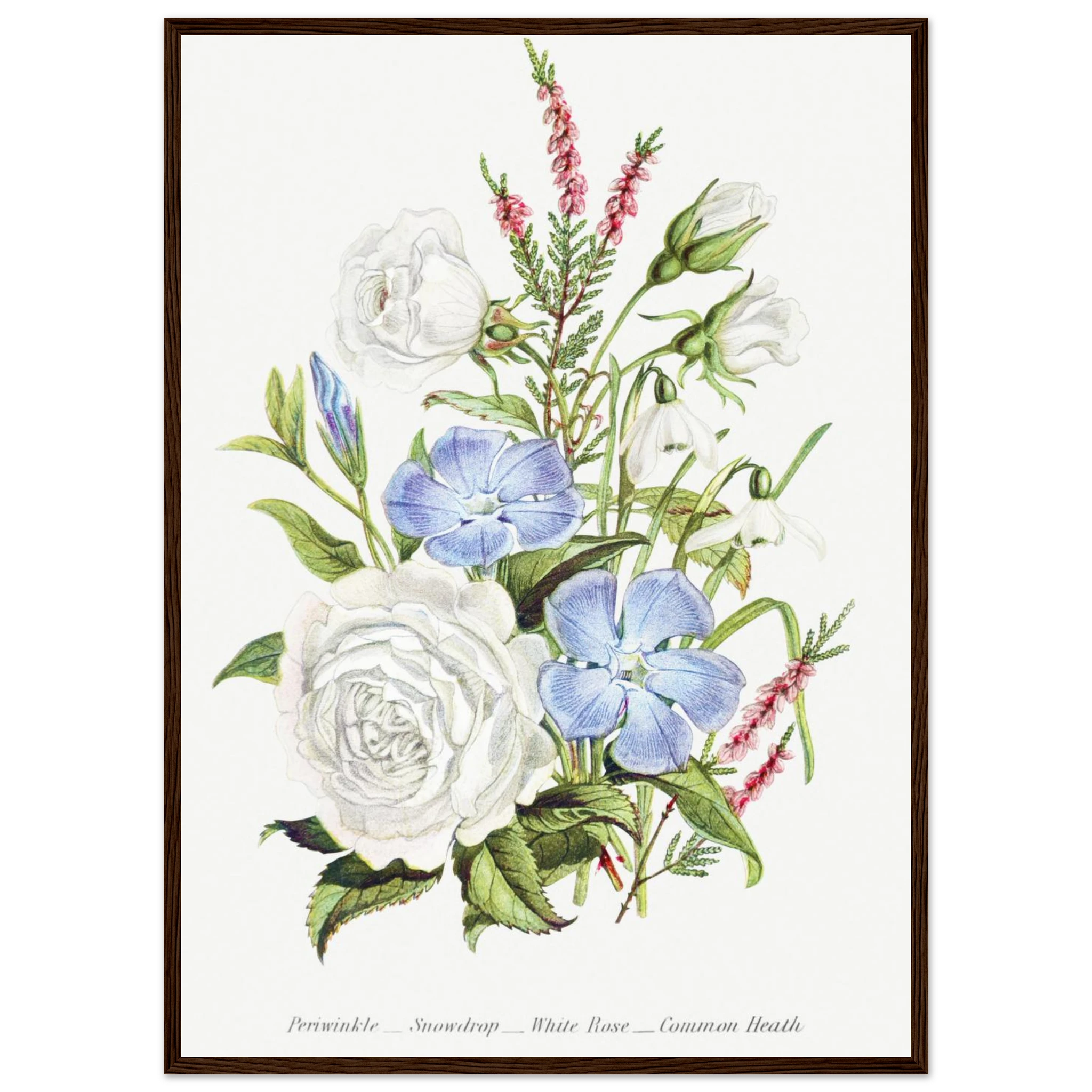 26fd7490-0c8a-4c32-ae74-4f59fbe451ff