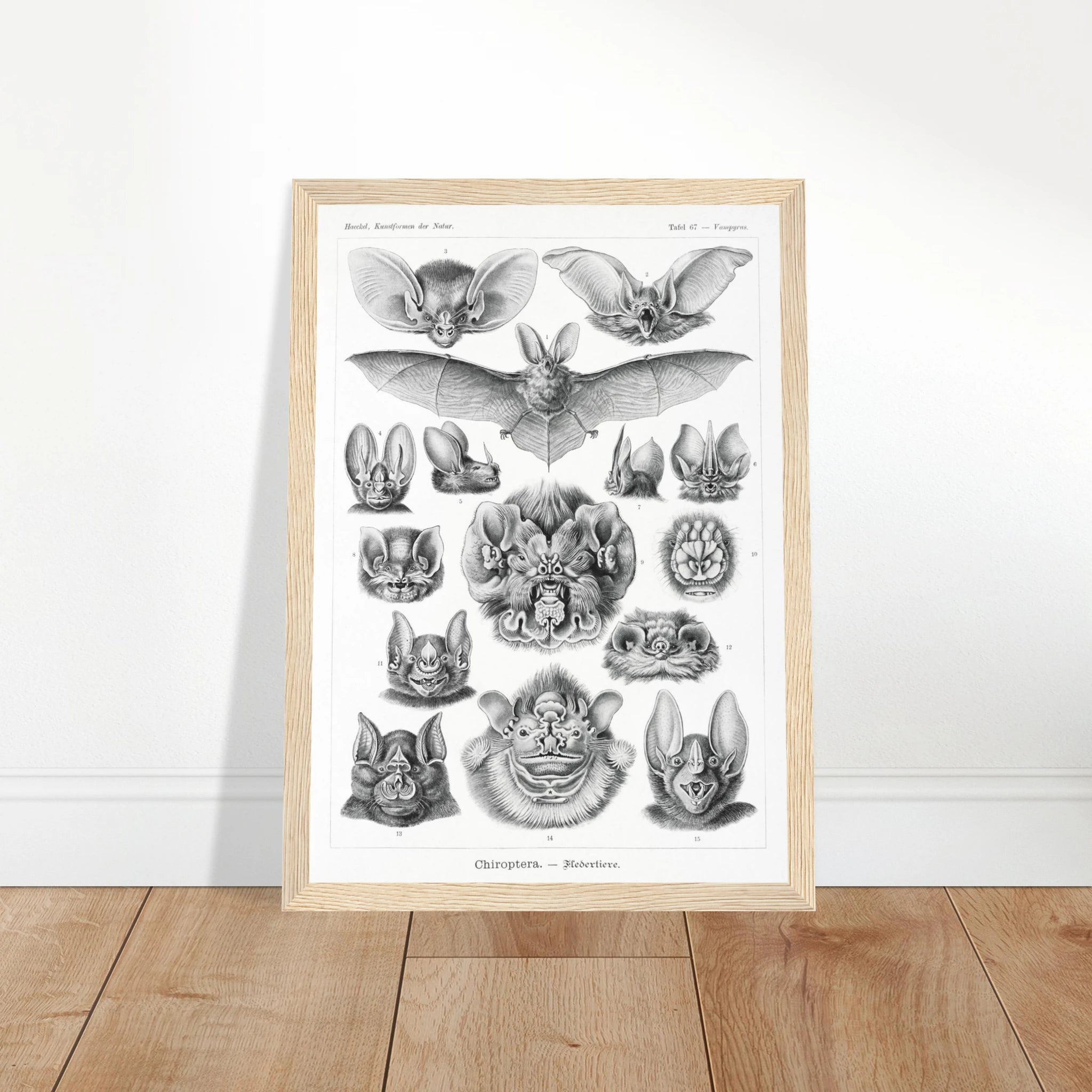 2724c100-6d22-4cbb-9ae1-7dba571c543d