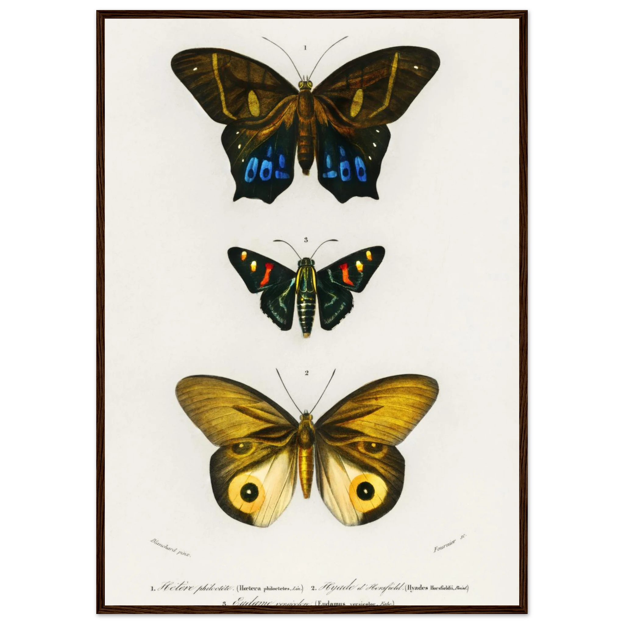 273b4159-f745-4133-a1b0-ecbb10dce091