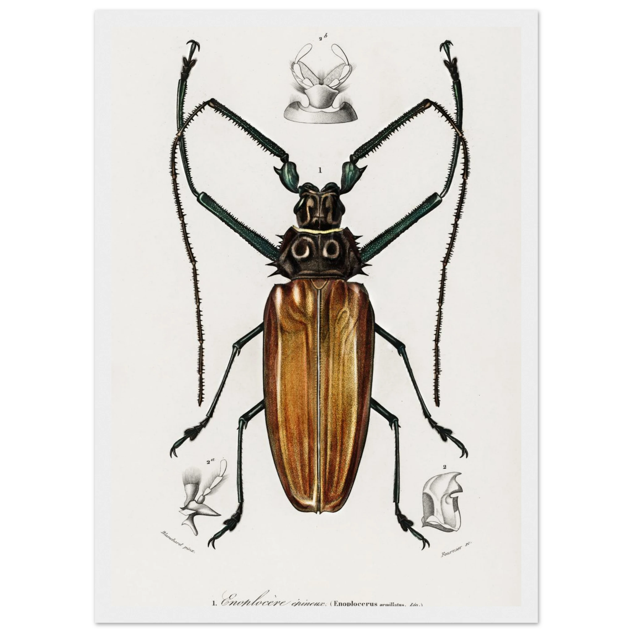 274980e9-d780-498c-89a0-93fe210f5dac