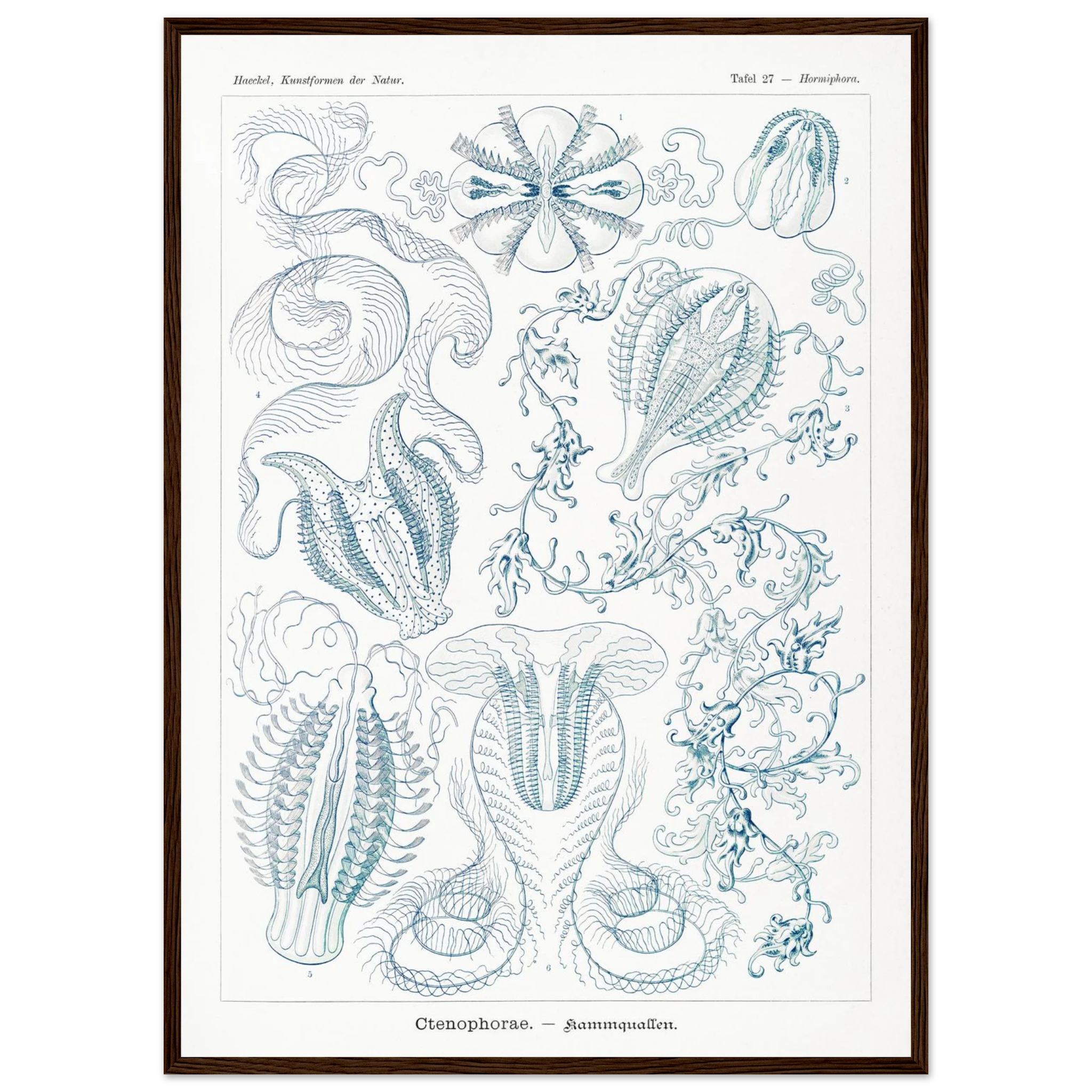 27b911df-e43b-43cb-b4c8-955ba734c4fb