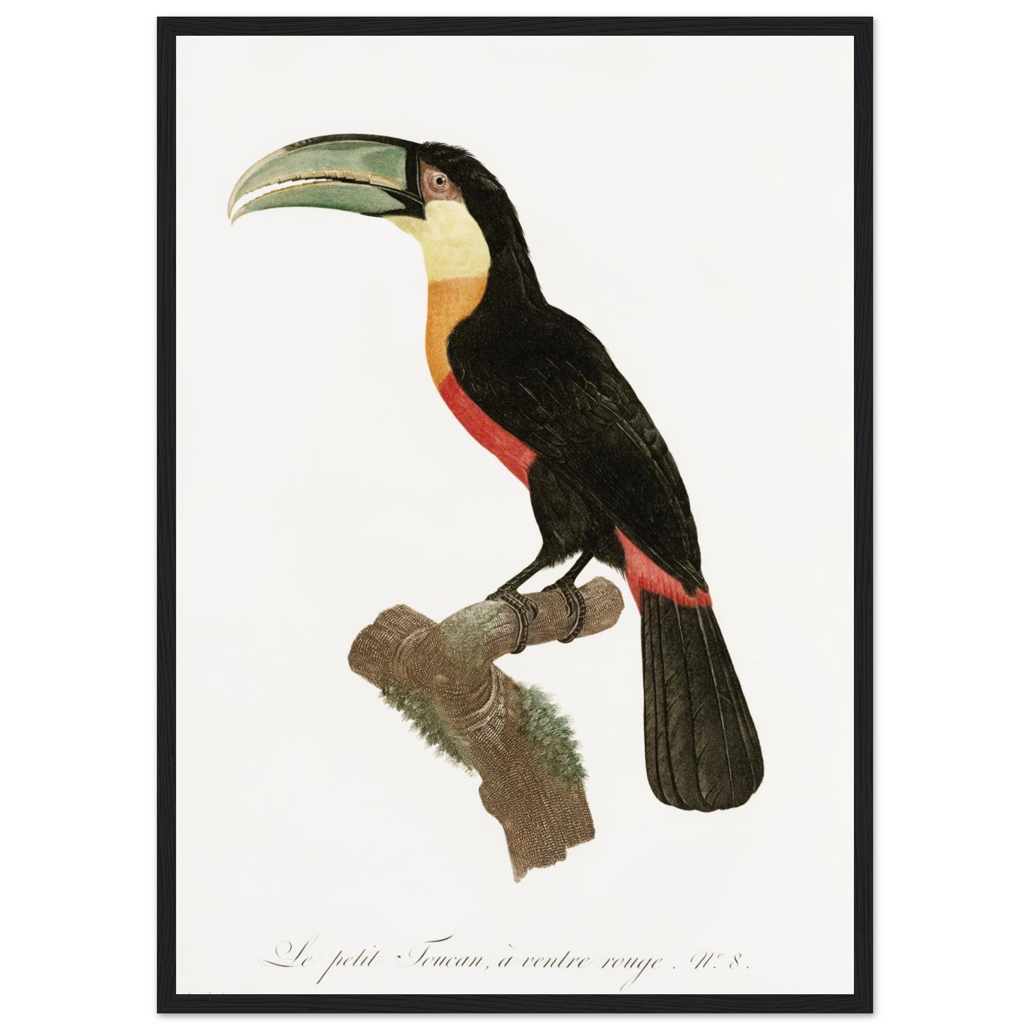 27e3f58a-3172-4d9a-836a-04c2363878f5