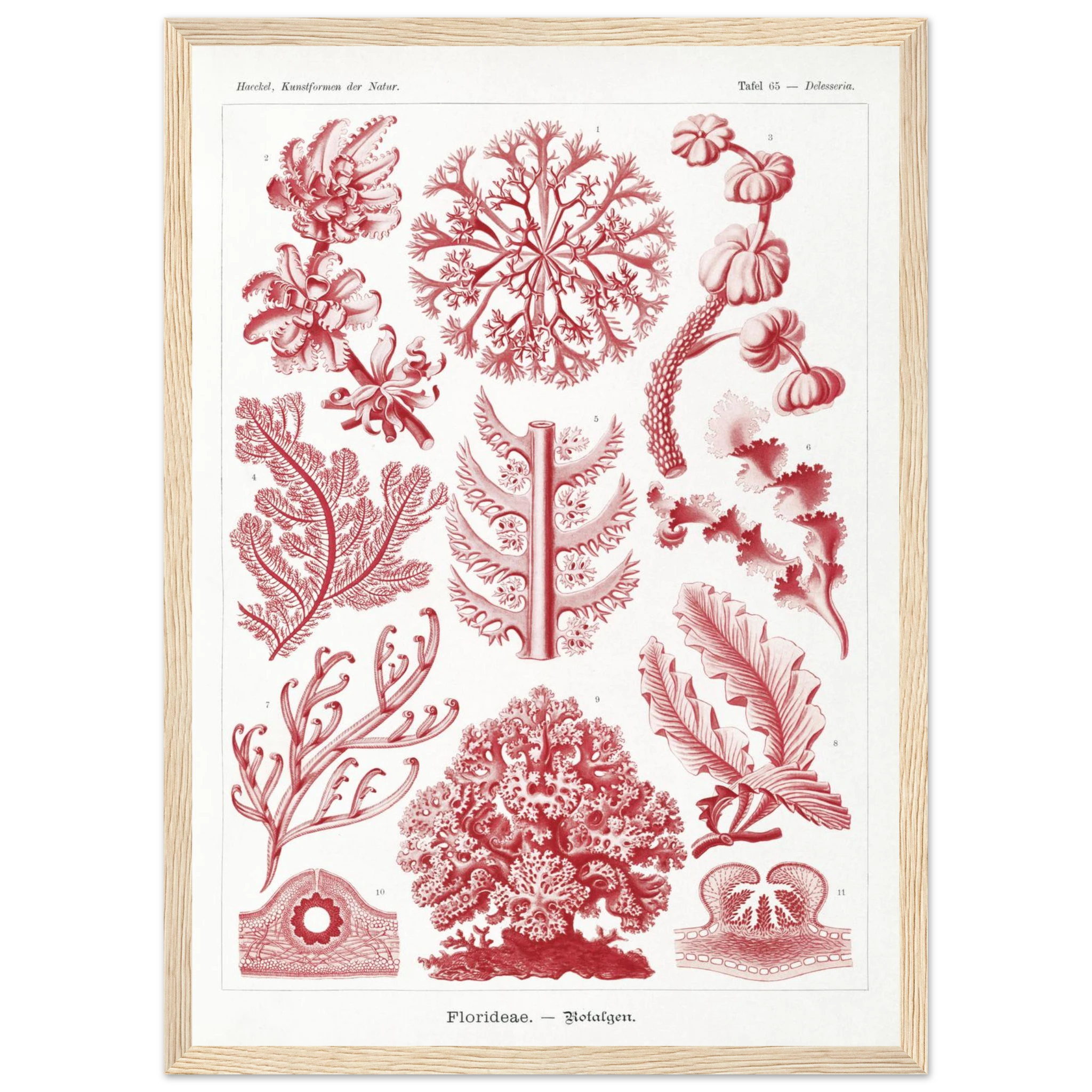 28625a74-da8b-43bf-a1d8-f518ece094c0