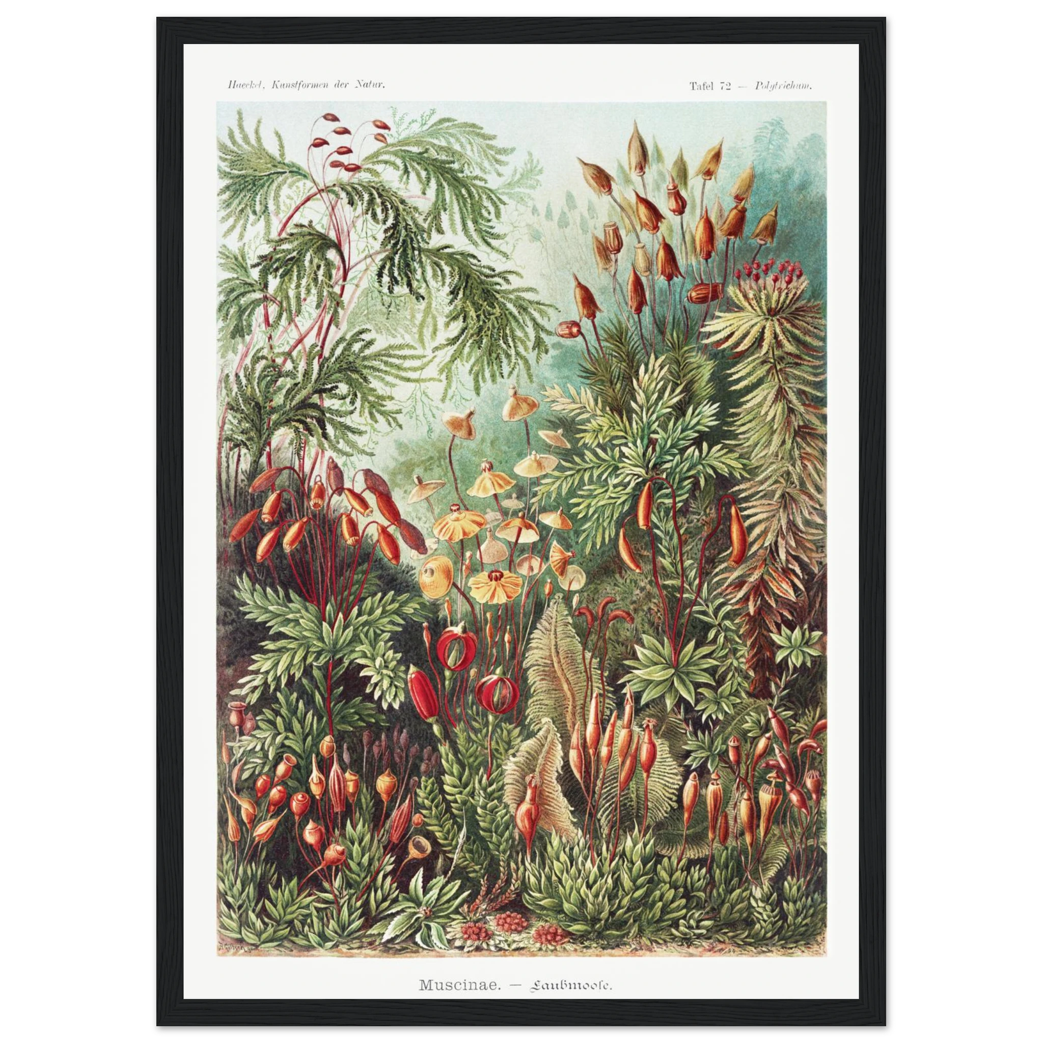 28a45482-c9f2-4065-9108-df26fd9f5ba3