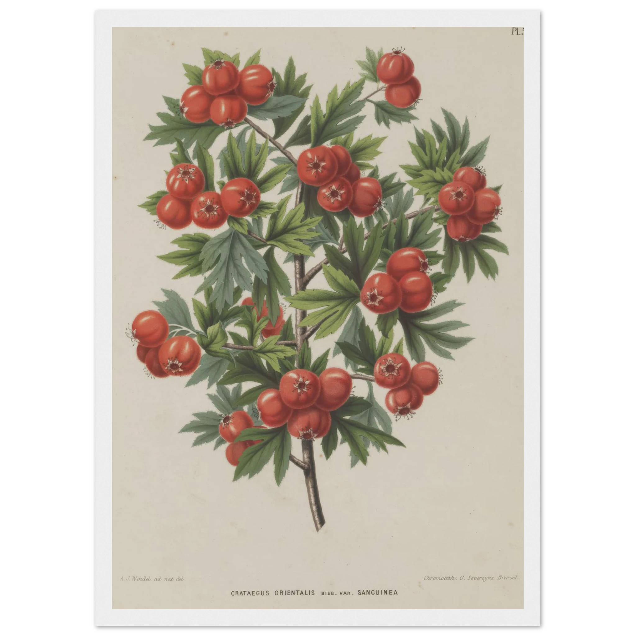 28b60047-03be-47ee-90a3-711afe217264