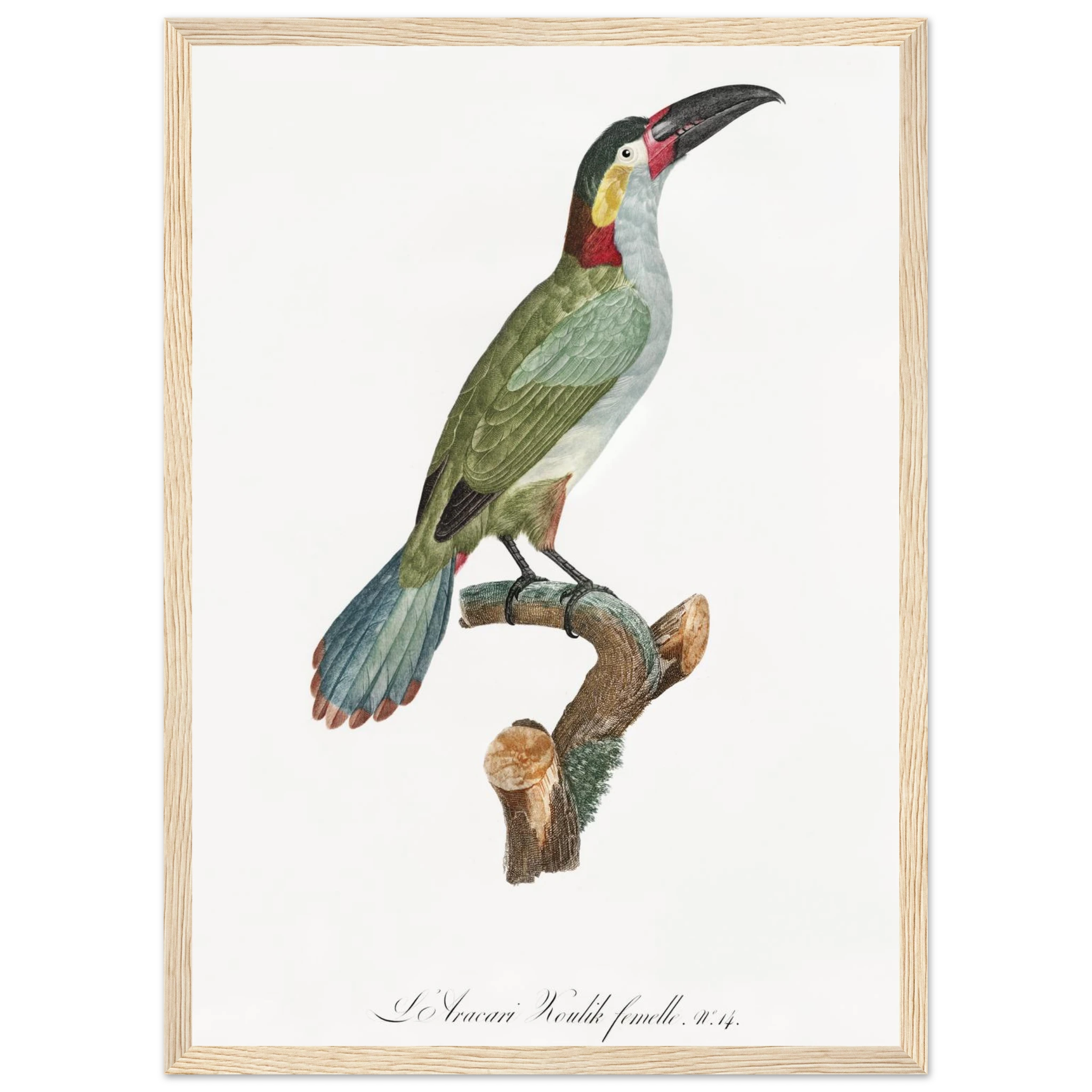 28ba6524-a8a4-4104-95a5-ae882aef7e3e