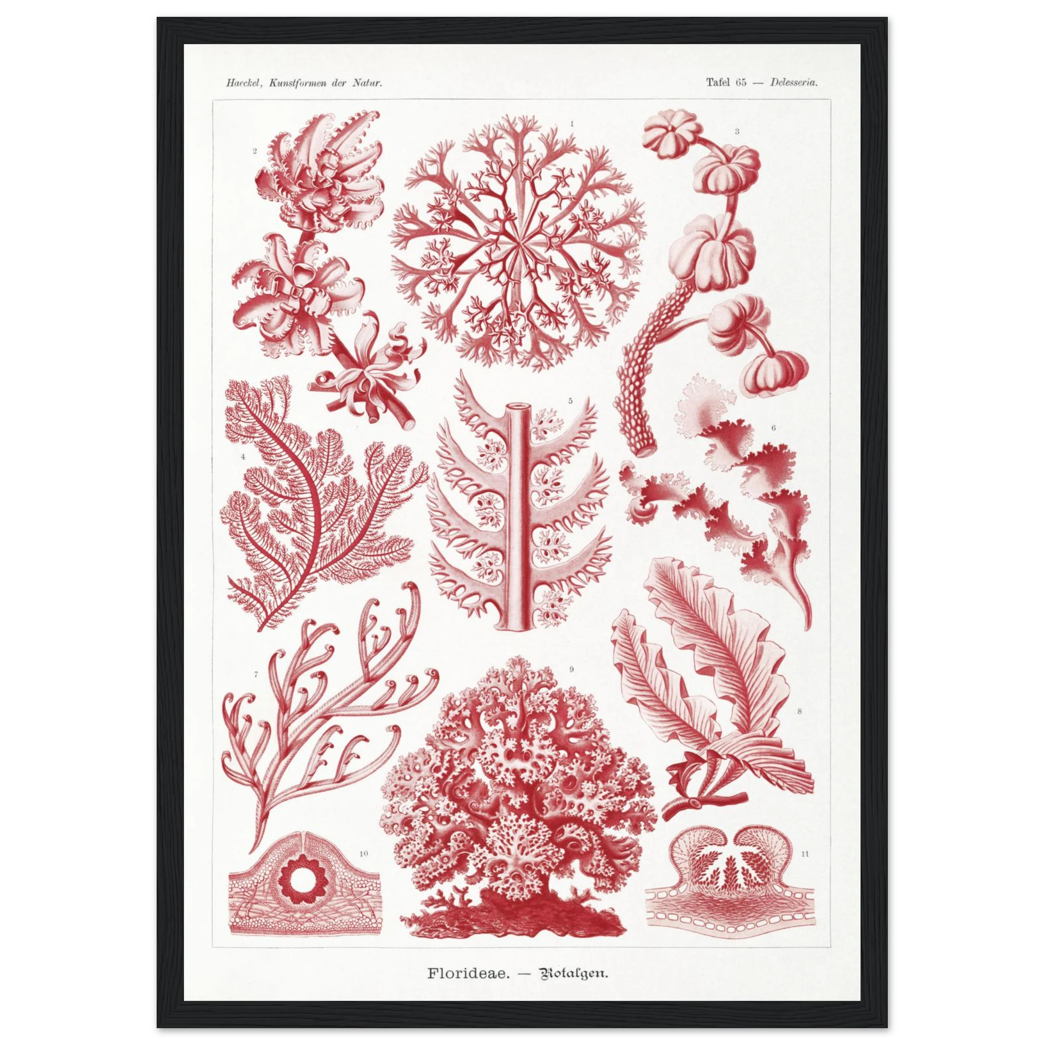 28bb9de9-c15a-4caf-89a7-295554c95548