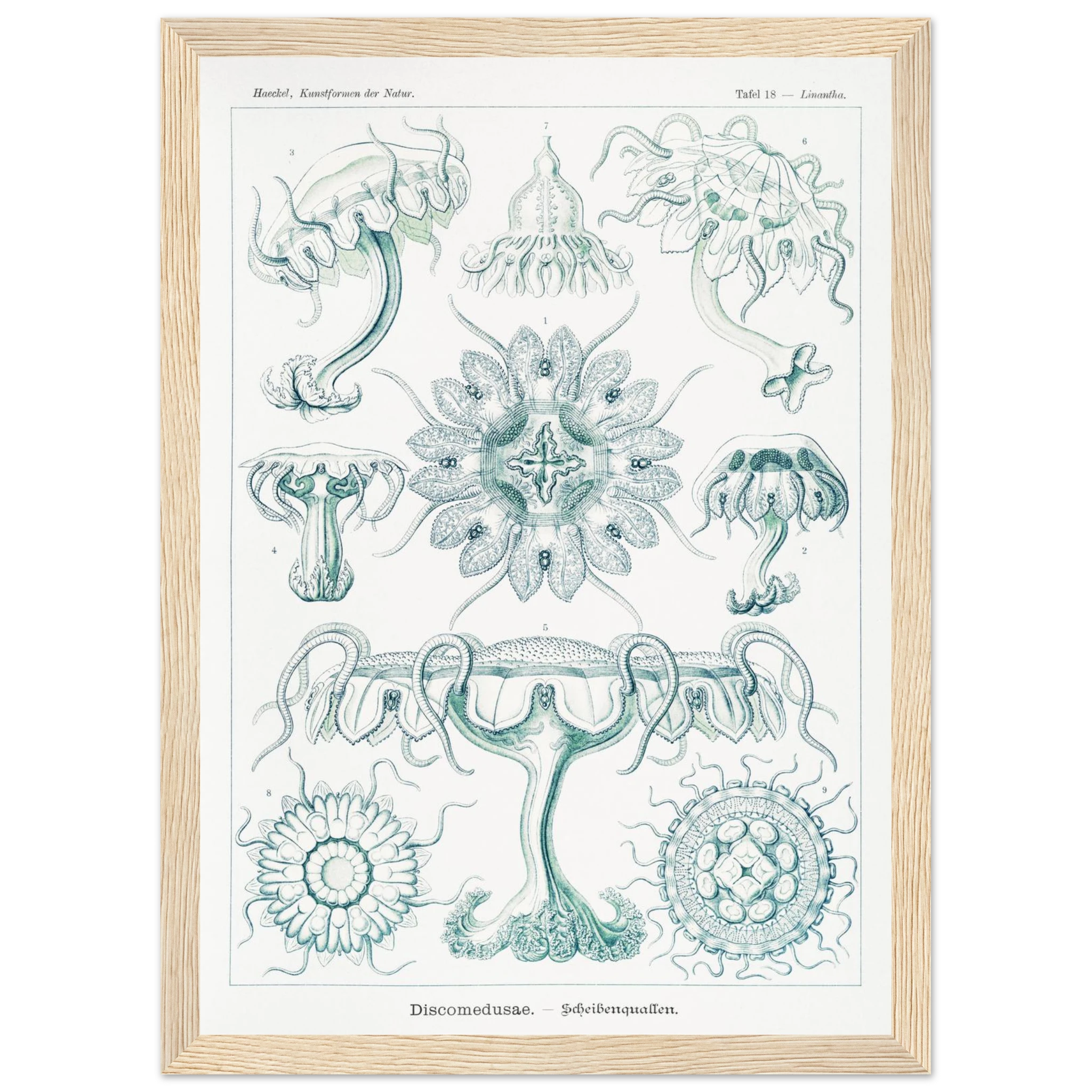 28ed3fc9-0f8f-40bd-918d-18c5ba3ba151