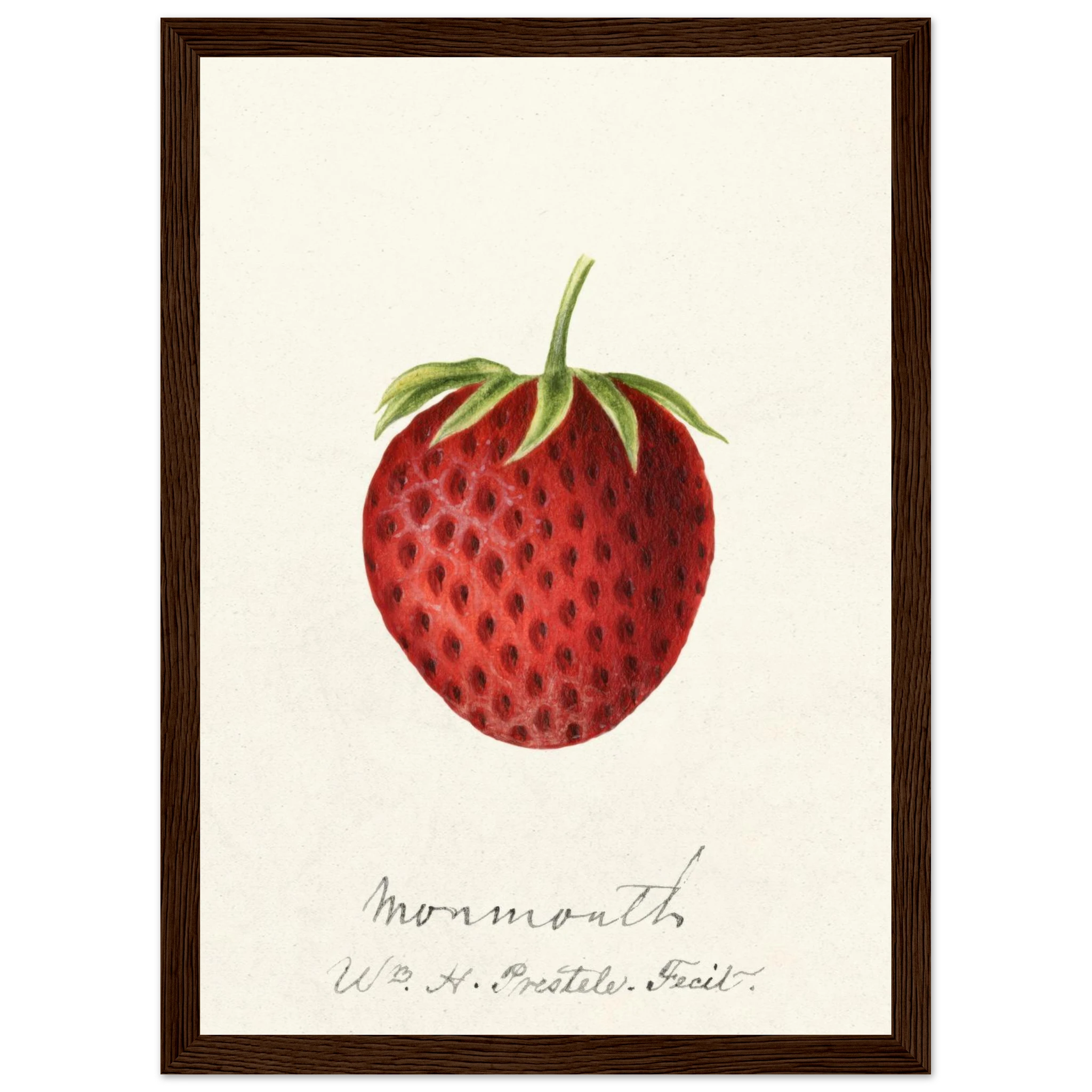 28fa0c9b-3967-4fe8-a11a-937357939288