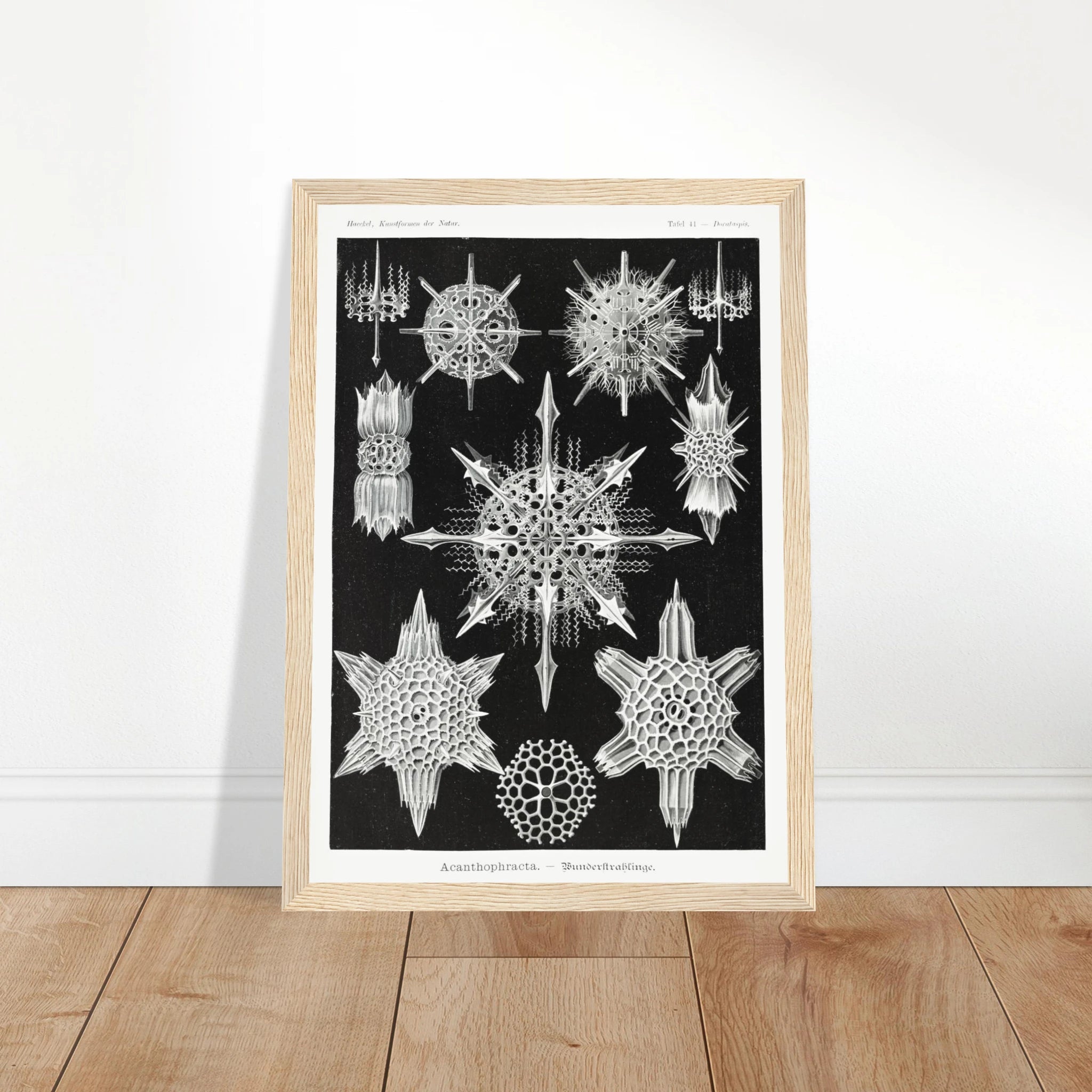 2902a9d6-3650-4834-a64d-d28cd338ee43