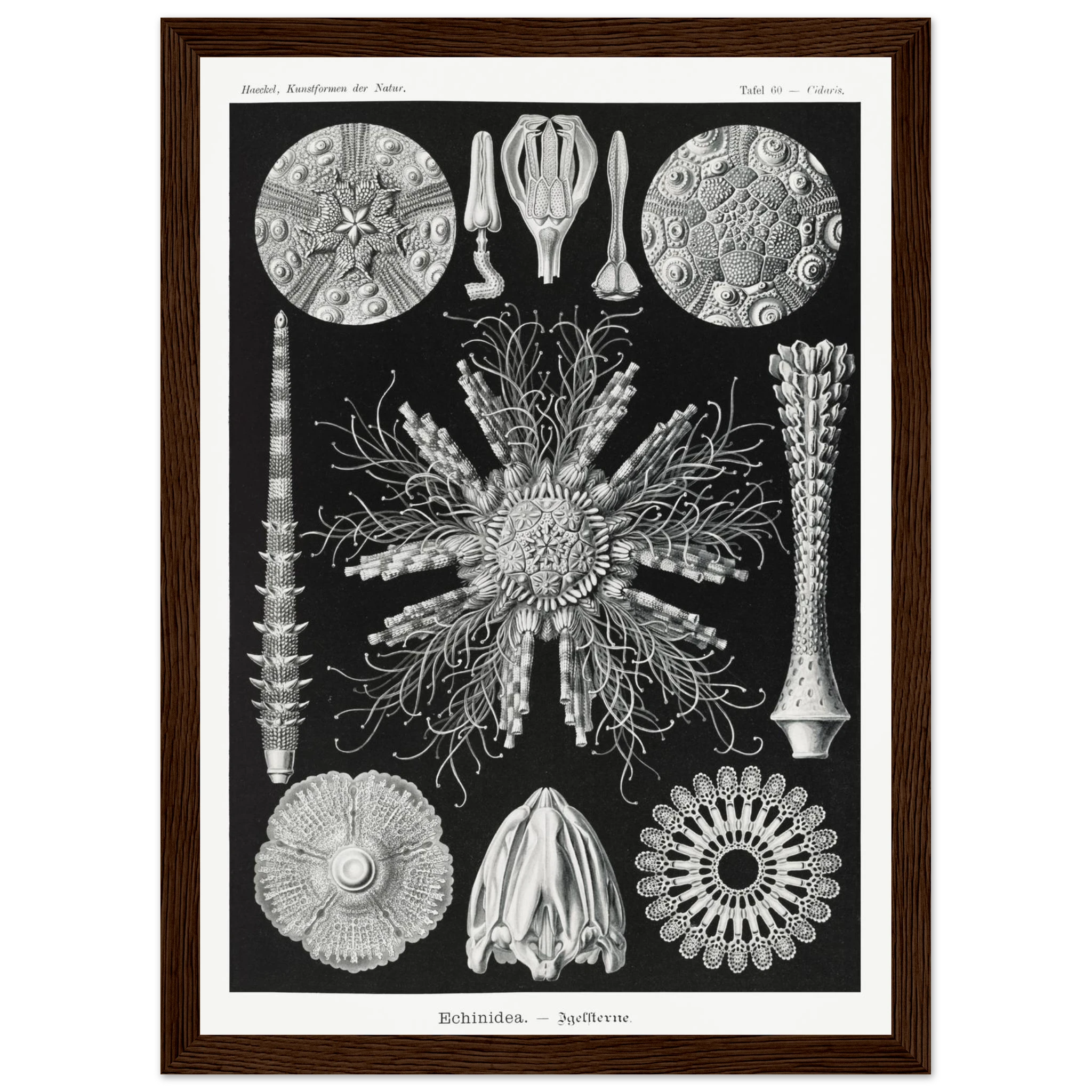 29361c1b-6127-4ebd-9951-fae9c1955e52