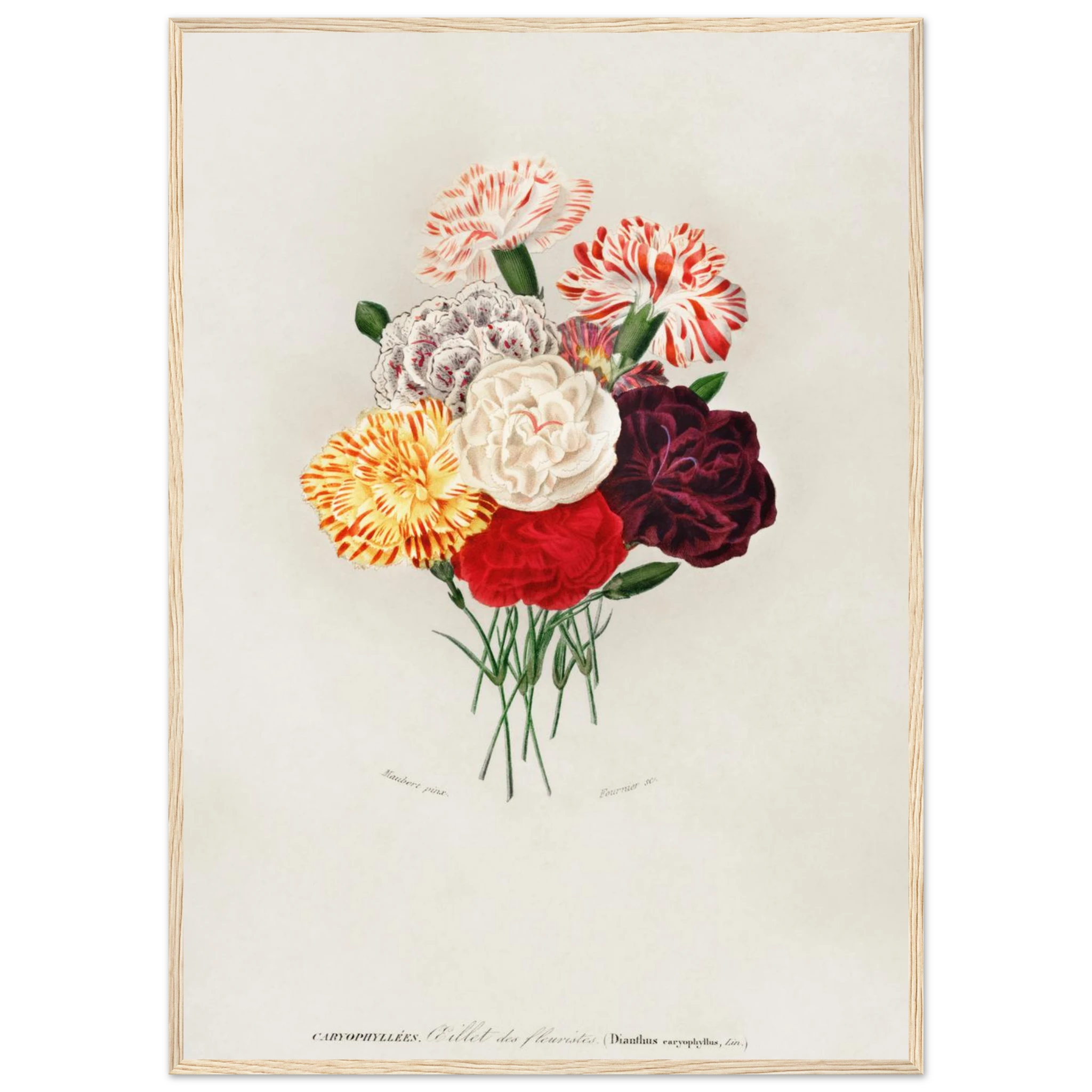 29365342-5b3d-46f7-bfd6-2d3b403fefac