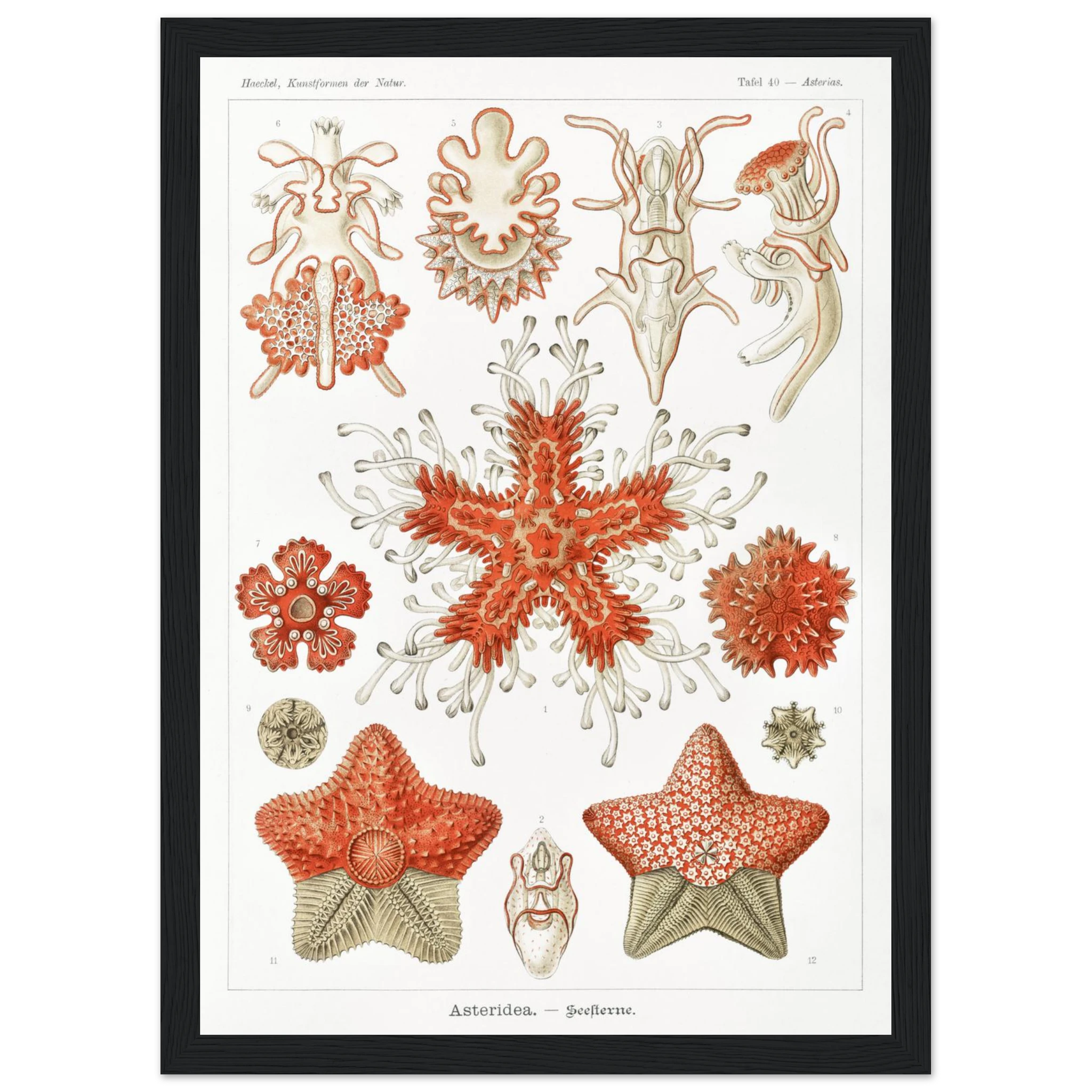 2966d198-7bf0-44a8-8b53-418e02137c46