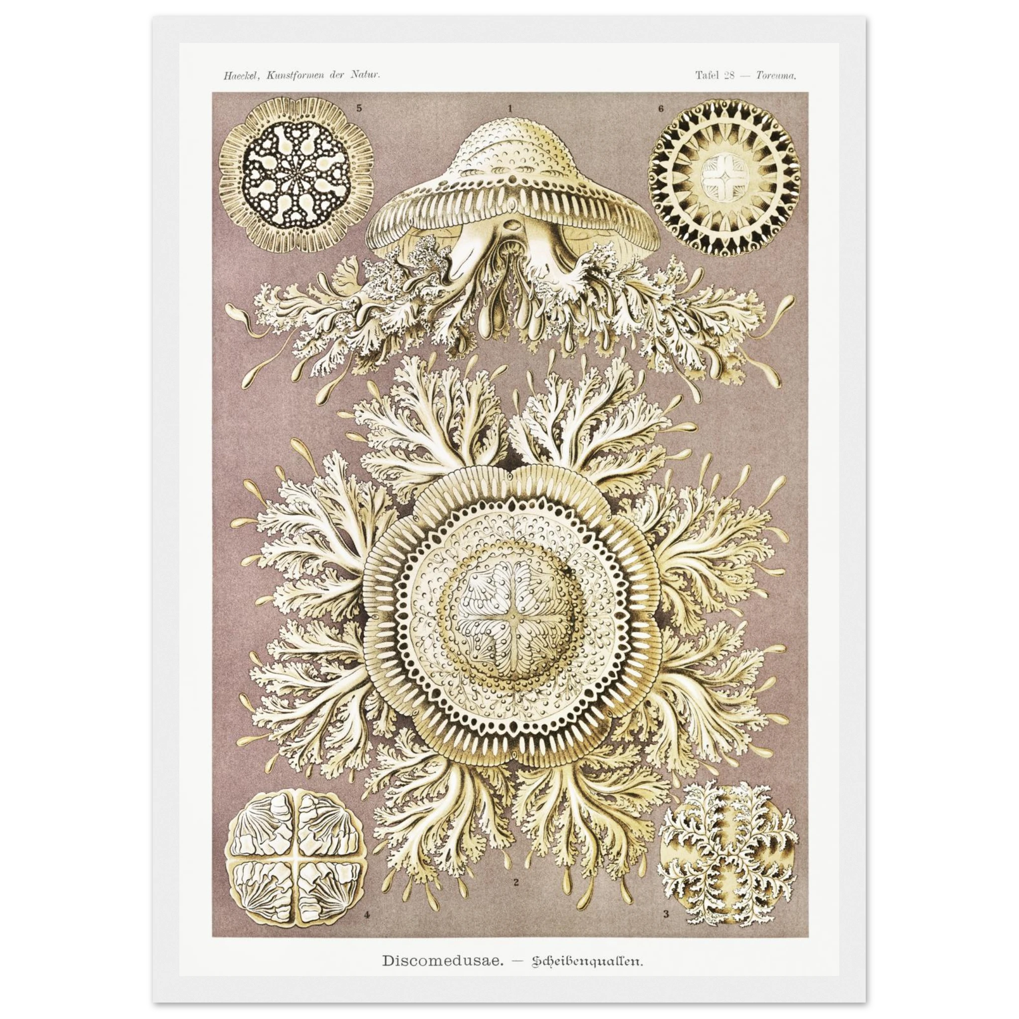 29729dee-1e7b-4ed1-bcd1-31c4ca57ed0a