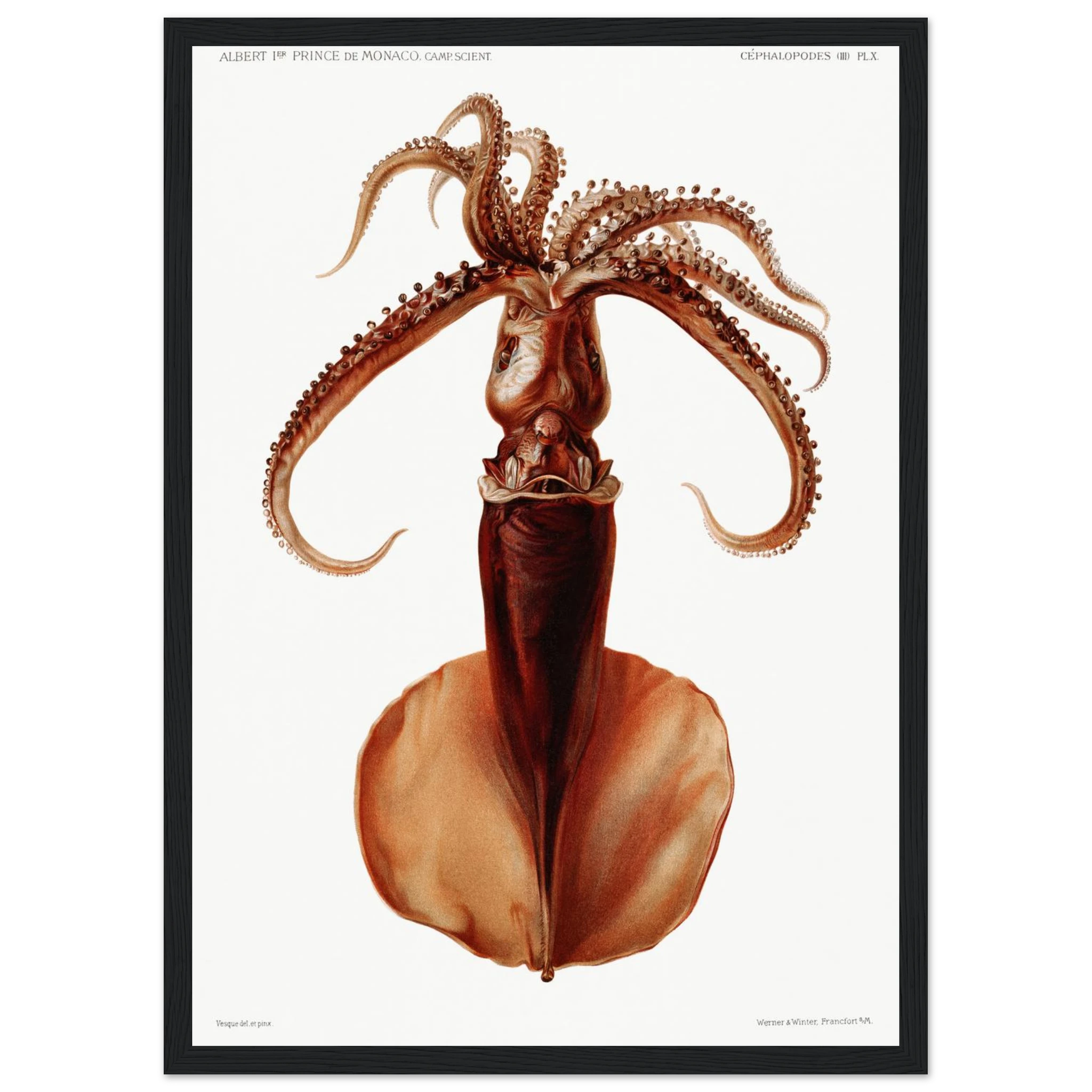 29a35670-4d8e-4e6e-bcaa-7f6643ce60c9