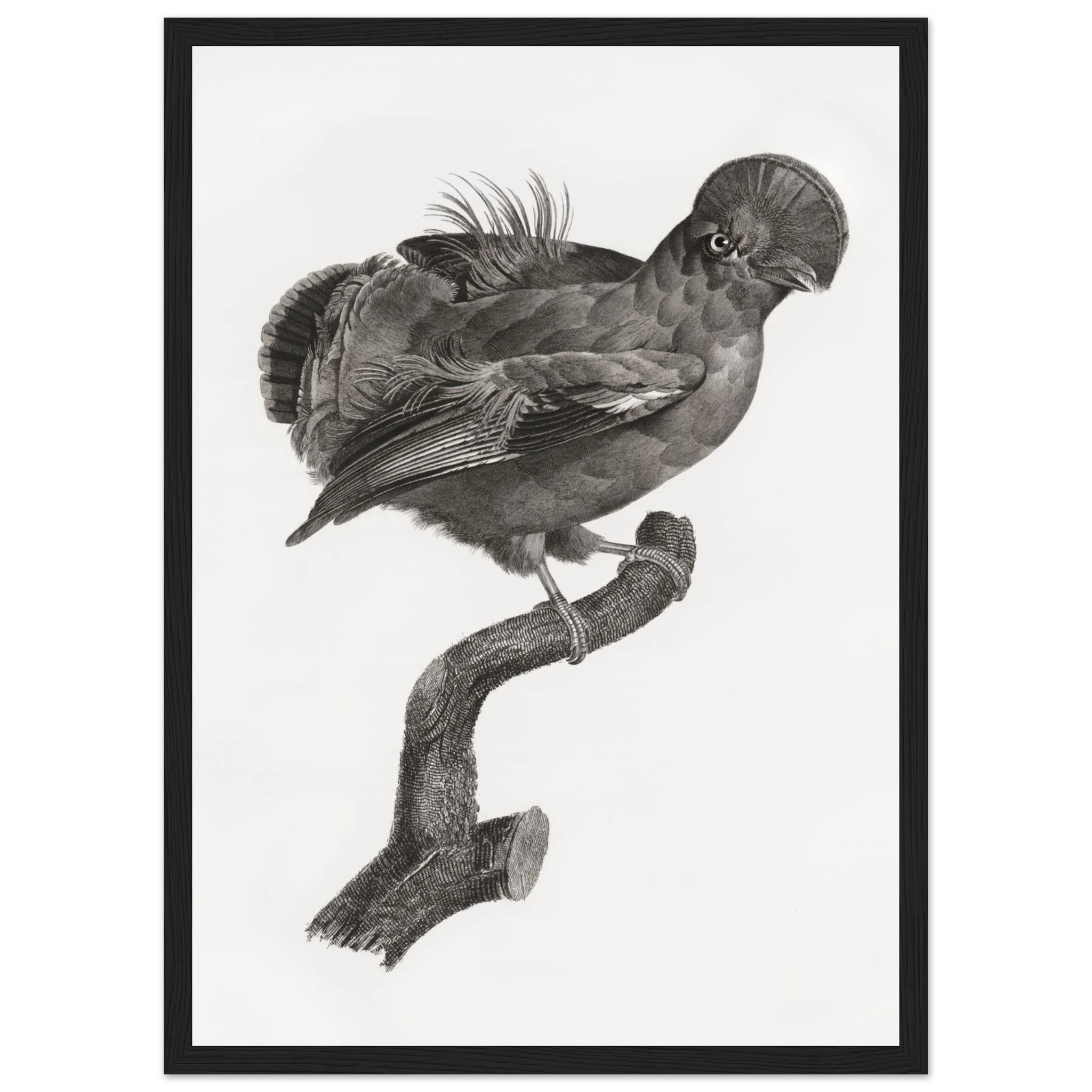 29b3e986-38f0-48aa-b272-b683dd5e8b3a