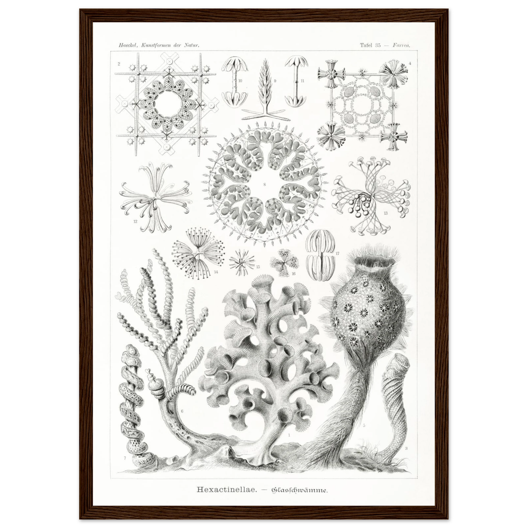 2a1eec44-467d-4f23-bd25-a3e1bade9eef