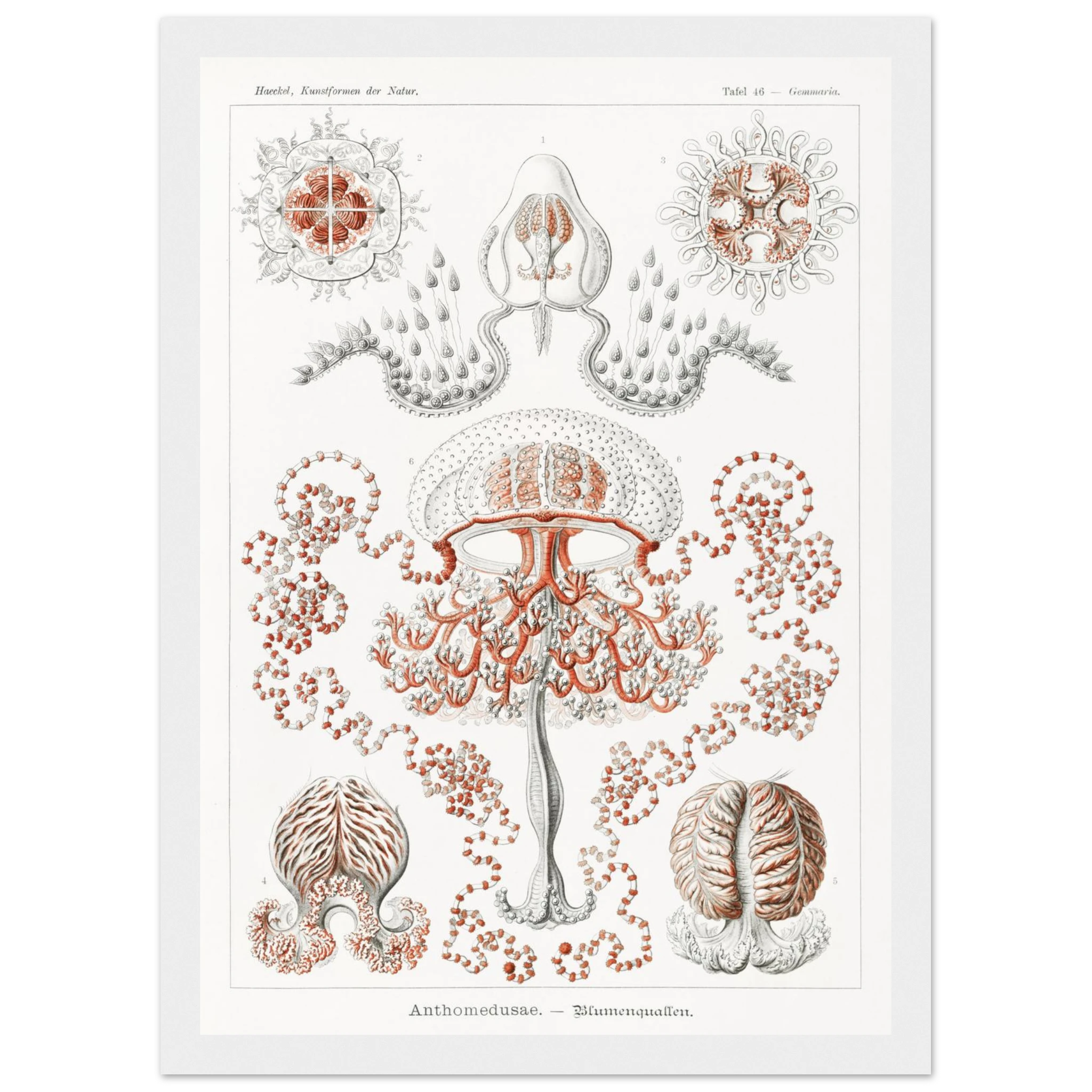 2a1fde64-b8c2-4596-8c24-7c208b81184f