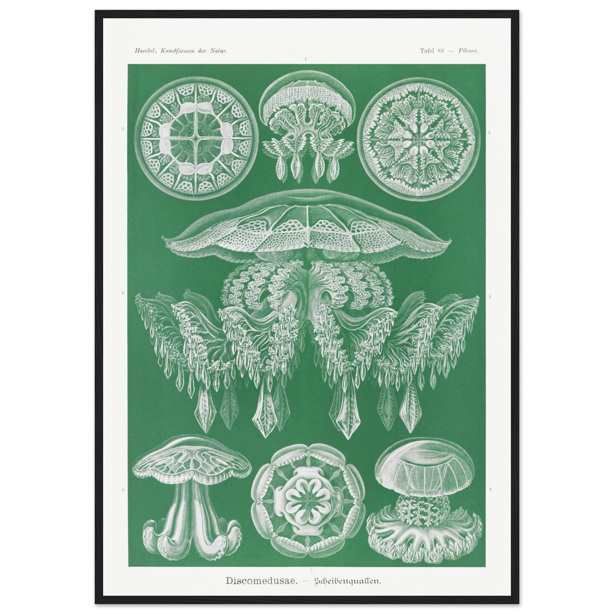 2a390591-7adb-421e-a7fd-b1e38c74c9ff