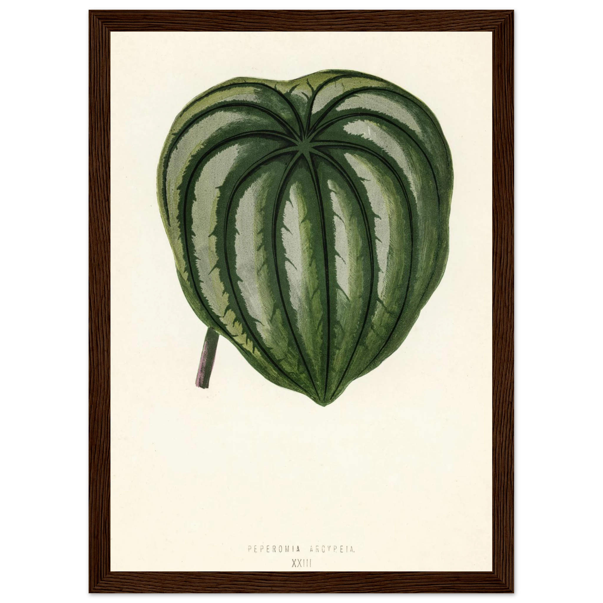 2a81c2a9-2fe3-4123-a139-fcda486584d3