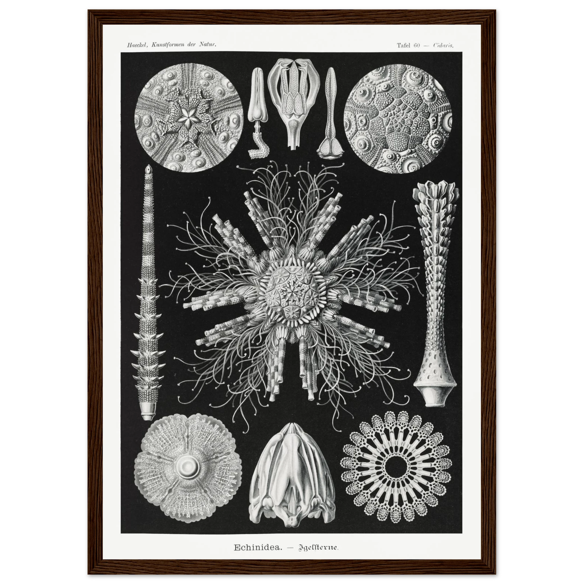 2aac495e-0f08-42c3-ab07-3aae4ea43d6b