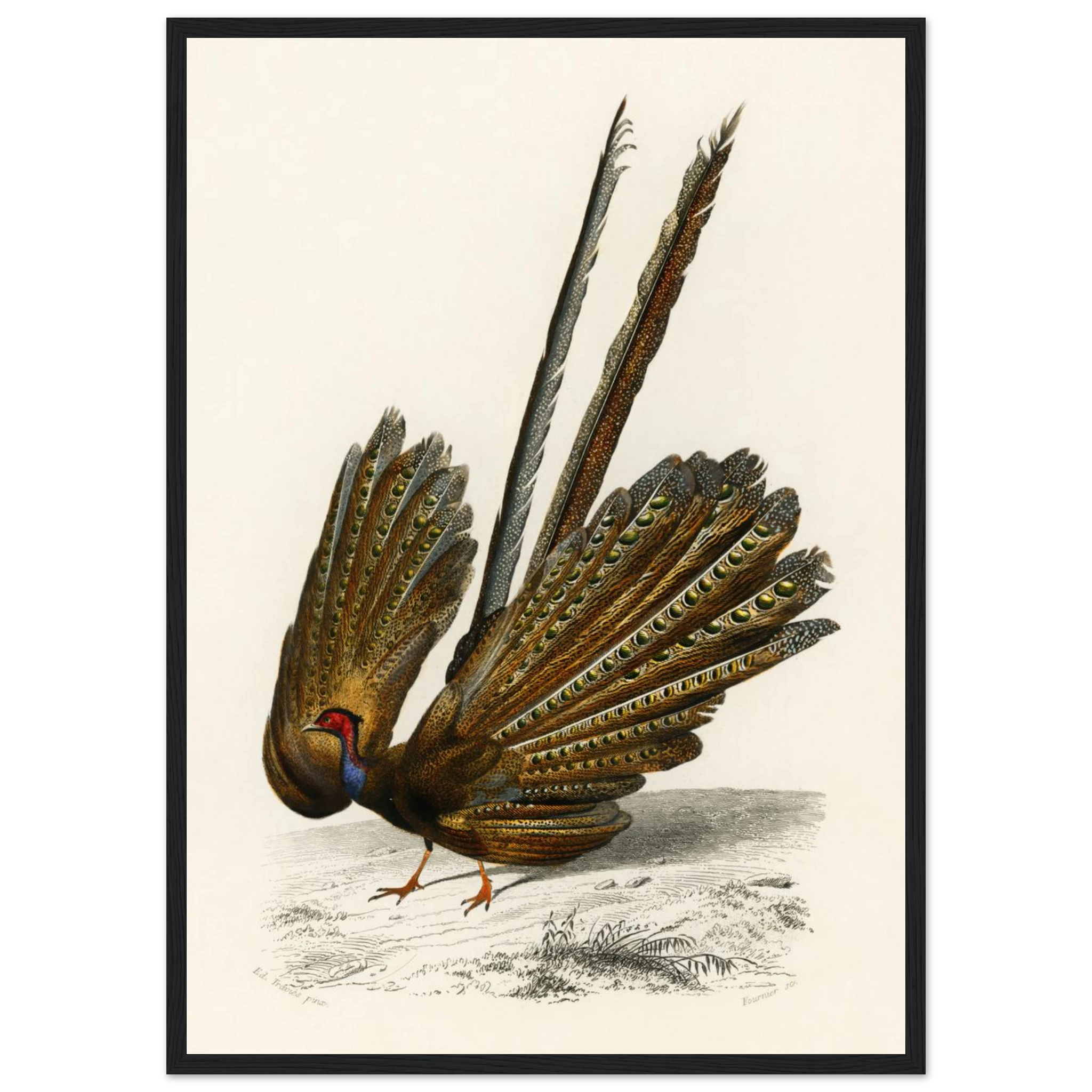 2abe4895-c5d2-489d-b150-6b546d489748