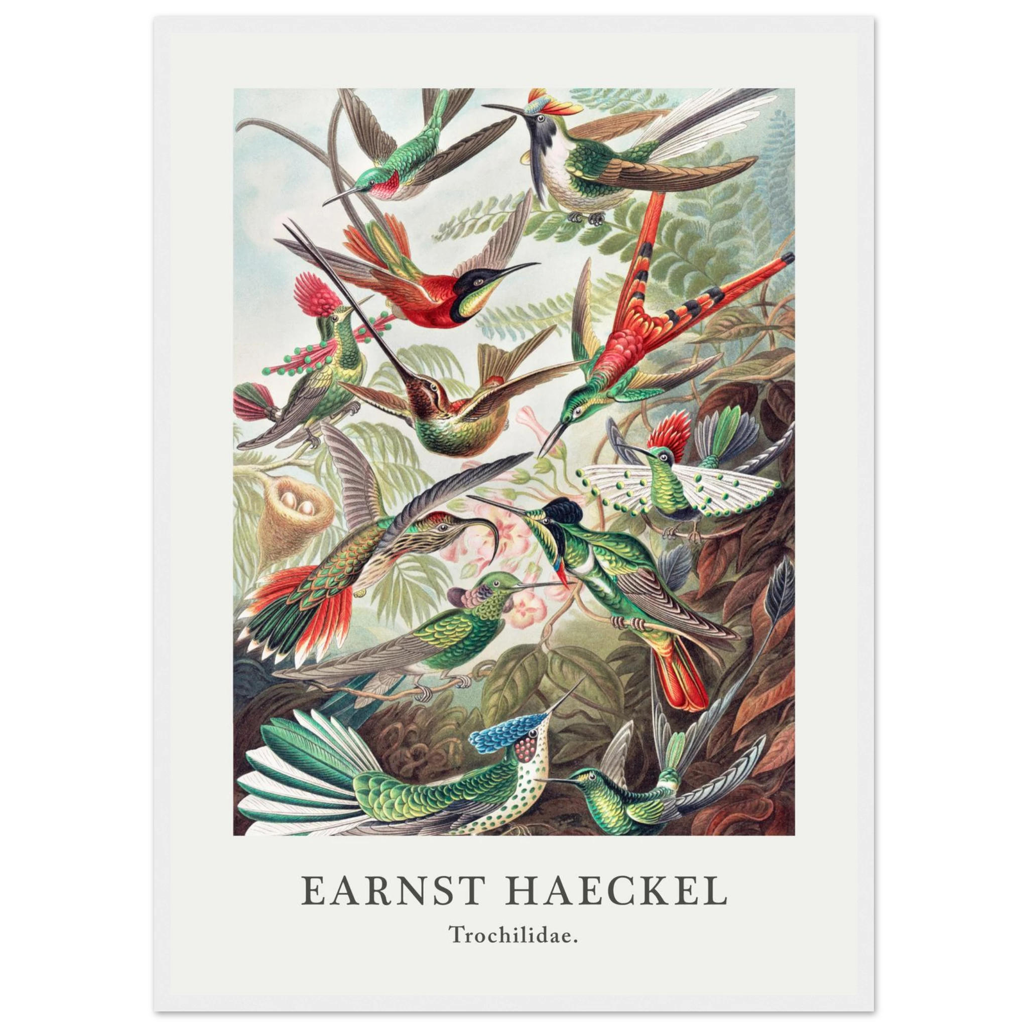 2ac276ba-aecb-4749-ad71-329c9b9e9bde