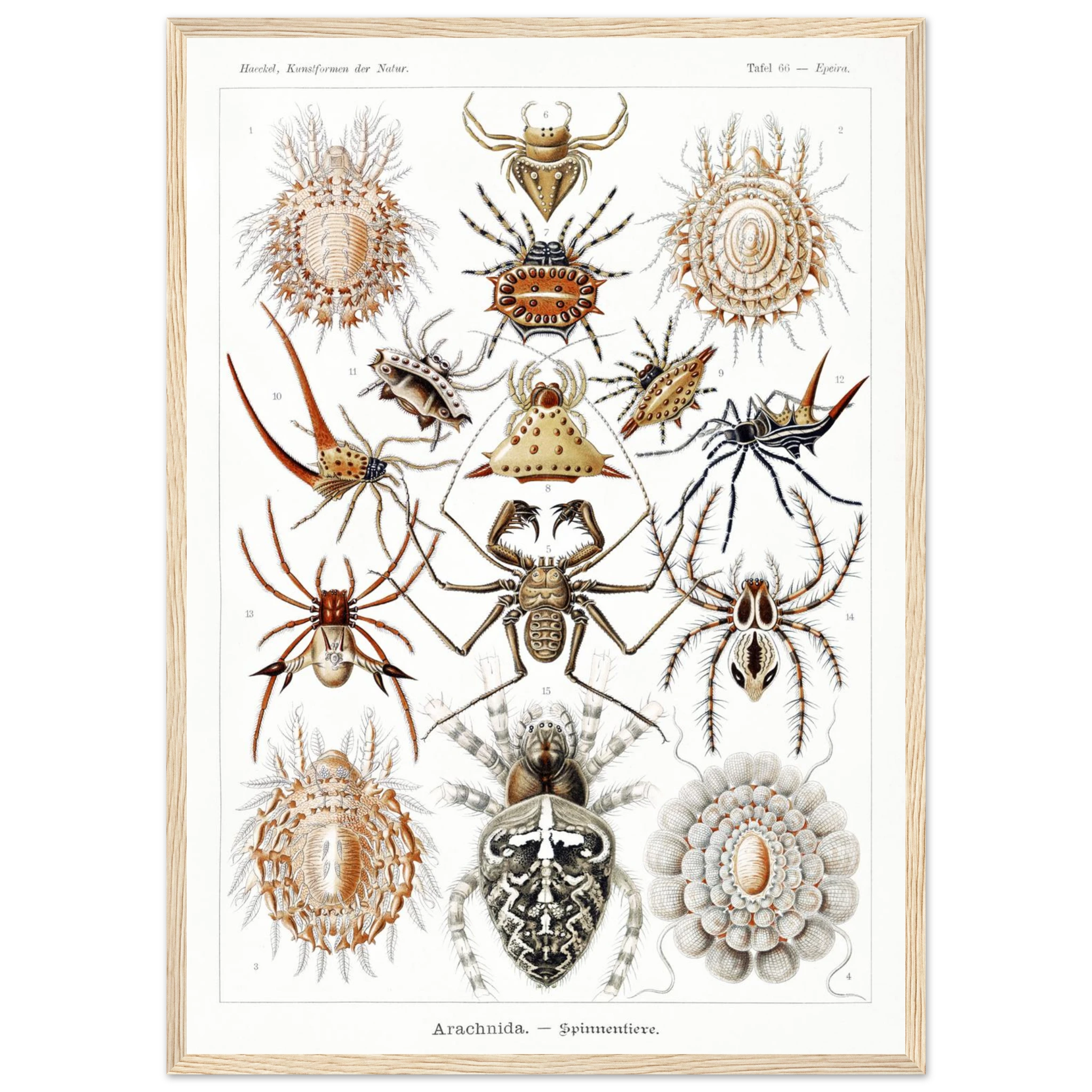 2aeda6f5-6456-45c2-9cd4-9aa46277db61