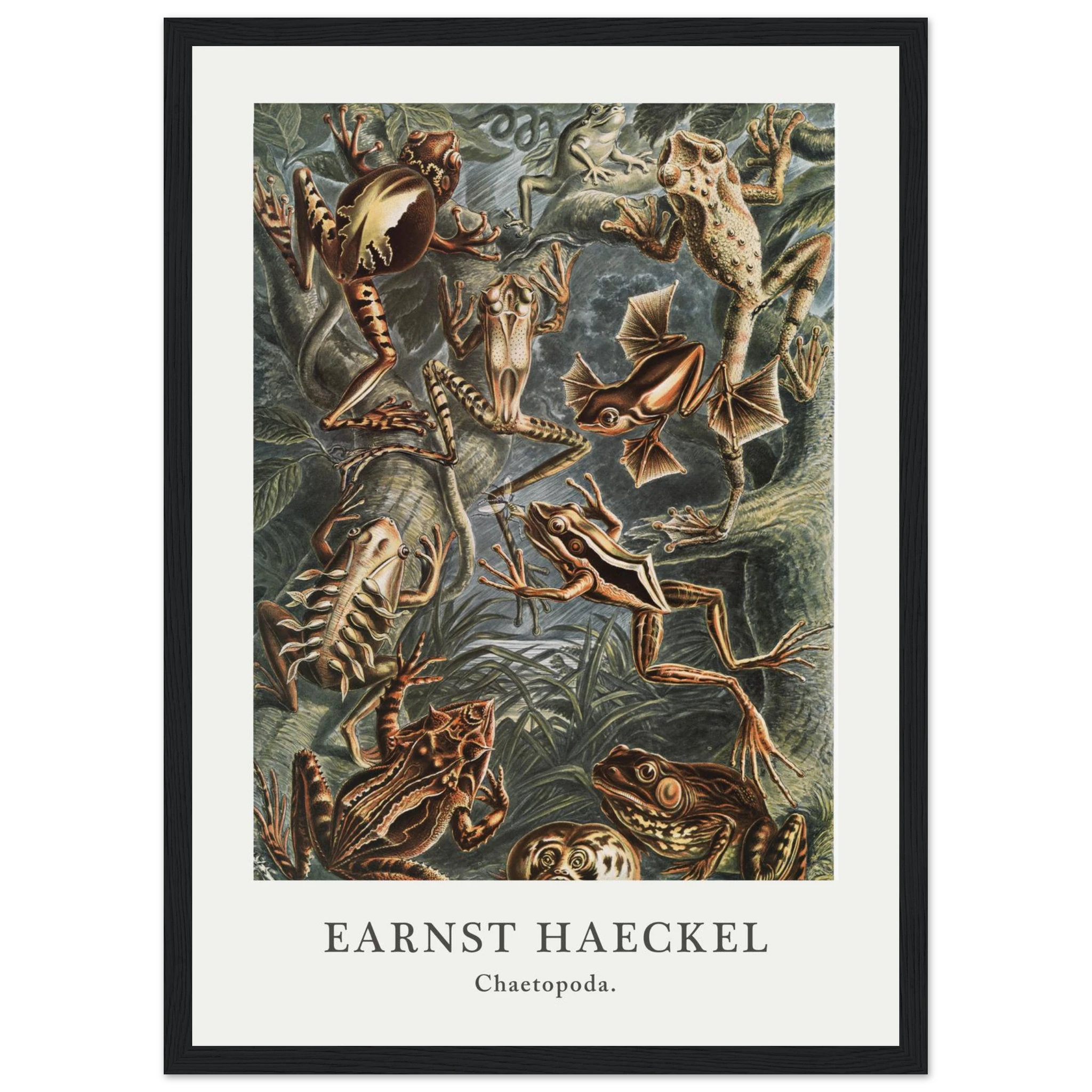 2b063d1e-1c1e-4c4c-91e2-d9c360fc1799