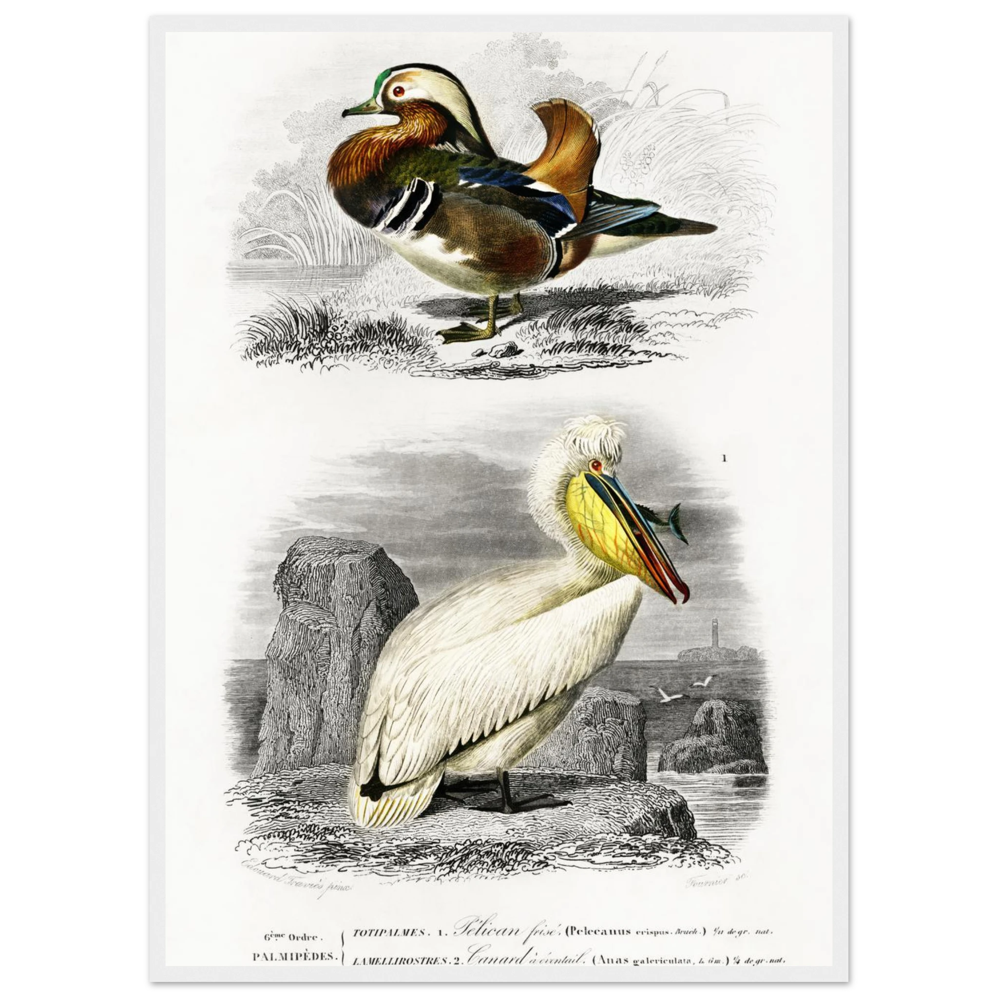 2b163cc6-0d4b-4712-8e16-c1d60158da8f