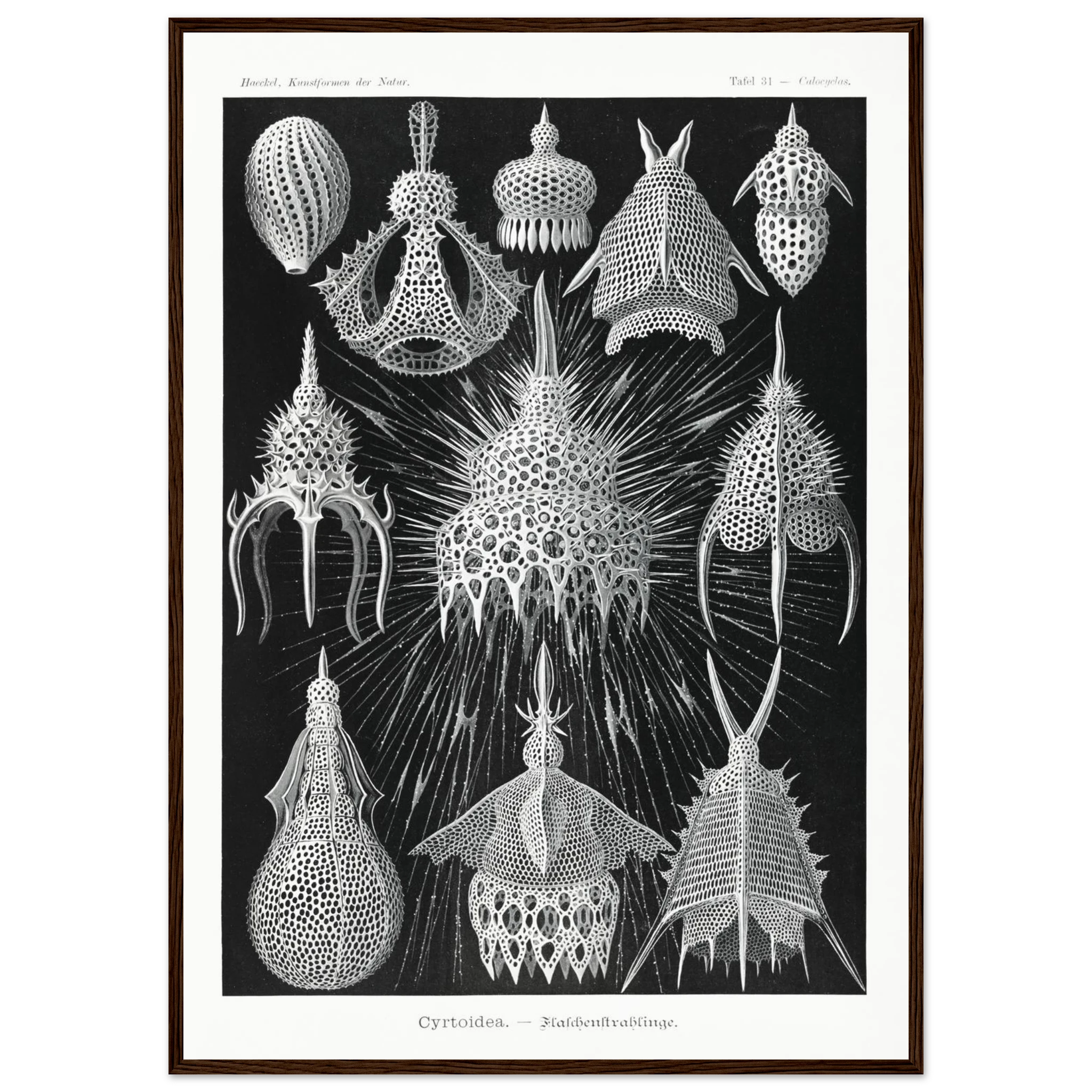 2b27a36a-1c66-4085-bffd-4f4320631f48