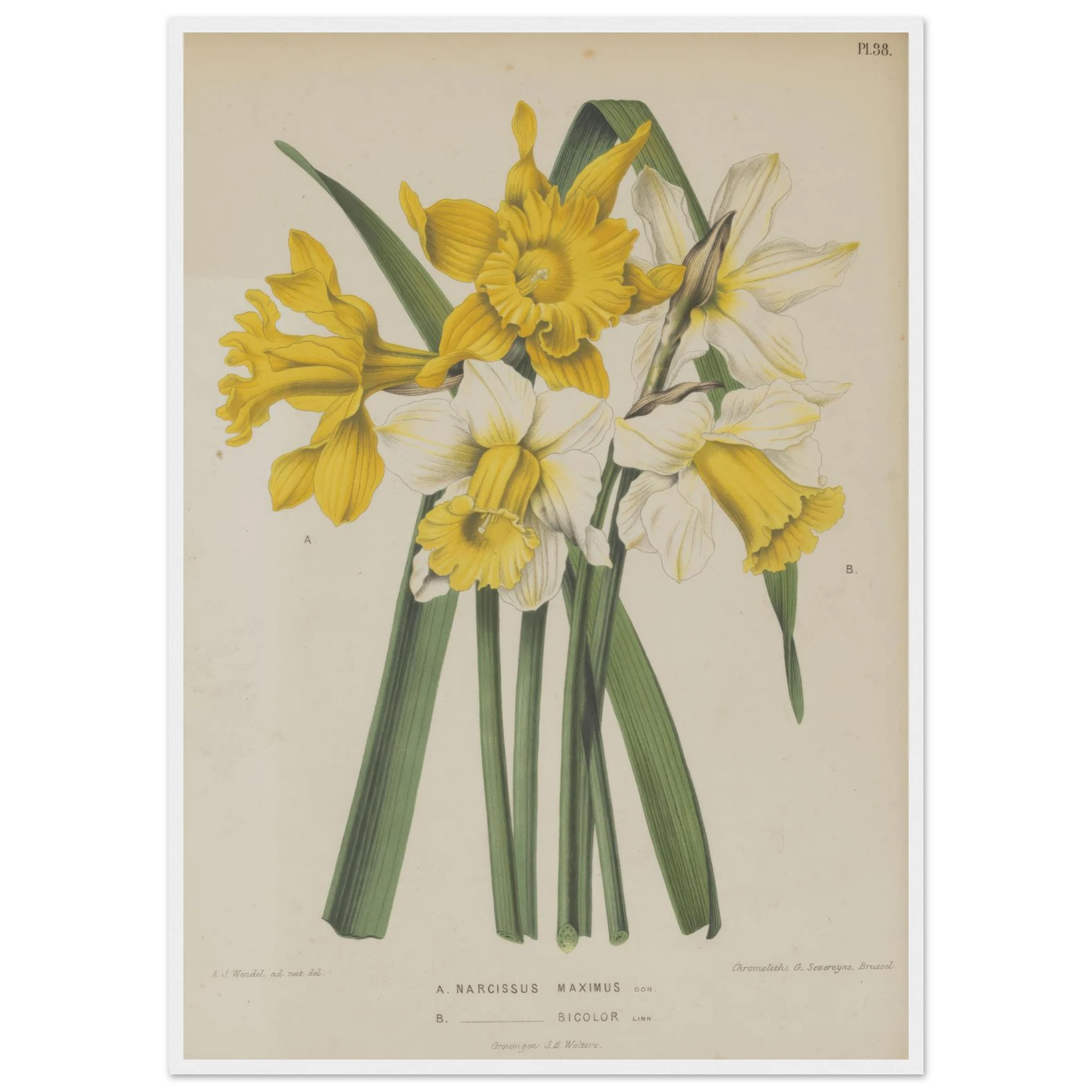 2b4b07a1-e019-4122-b435-8955ed01aa29