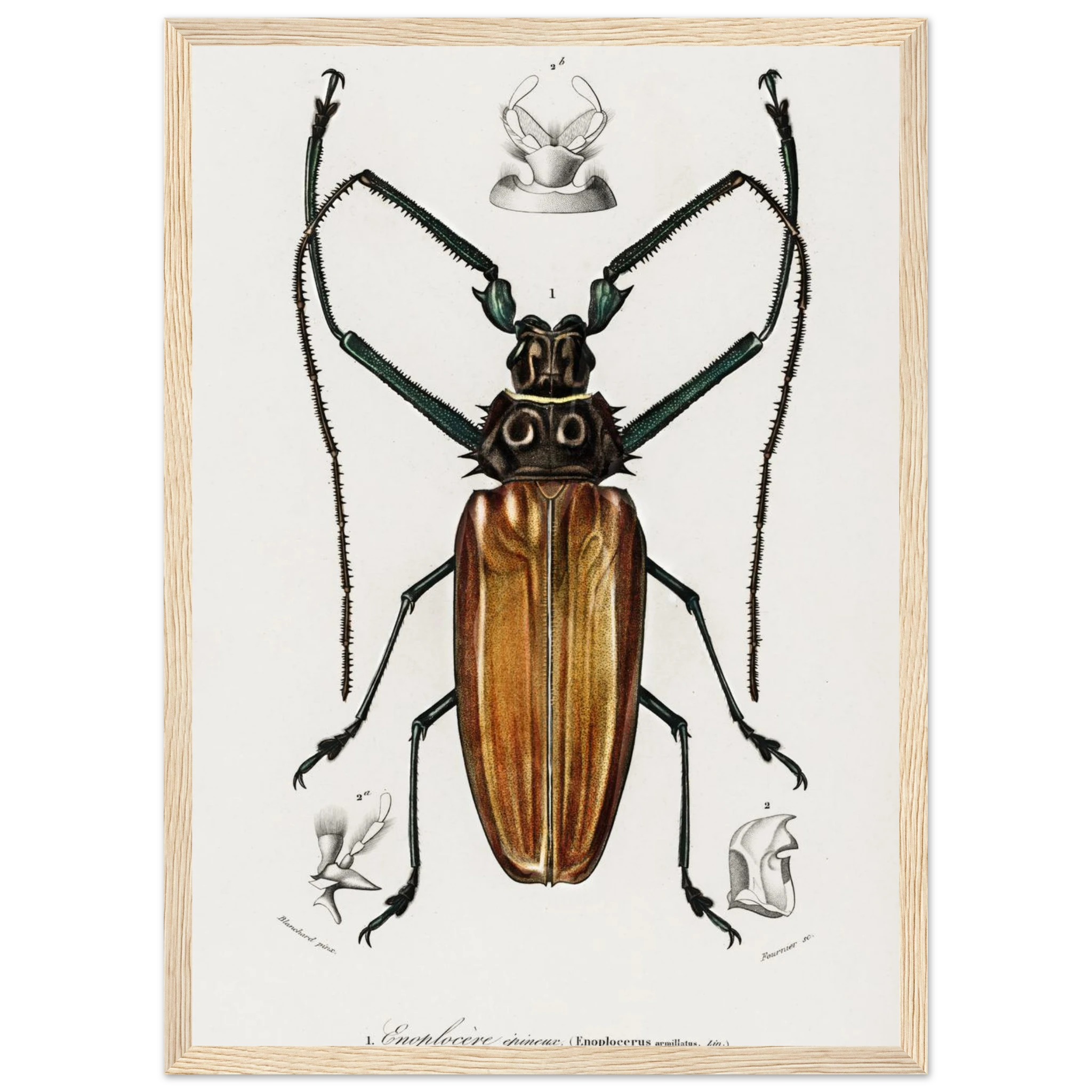 2b5340b2-c69d-4216-8590-cad7ba5fbbdc