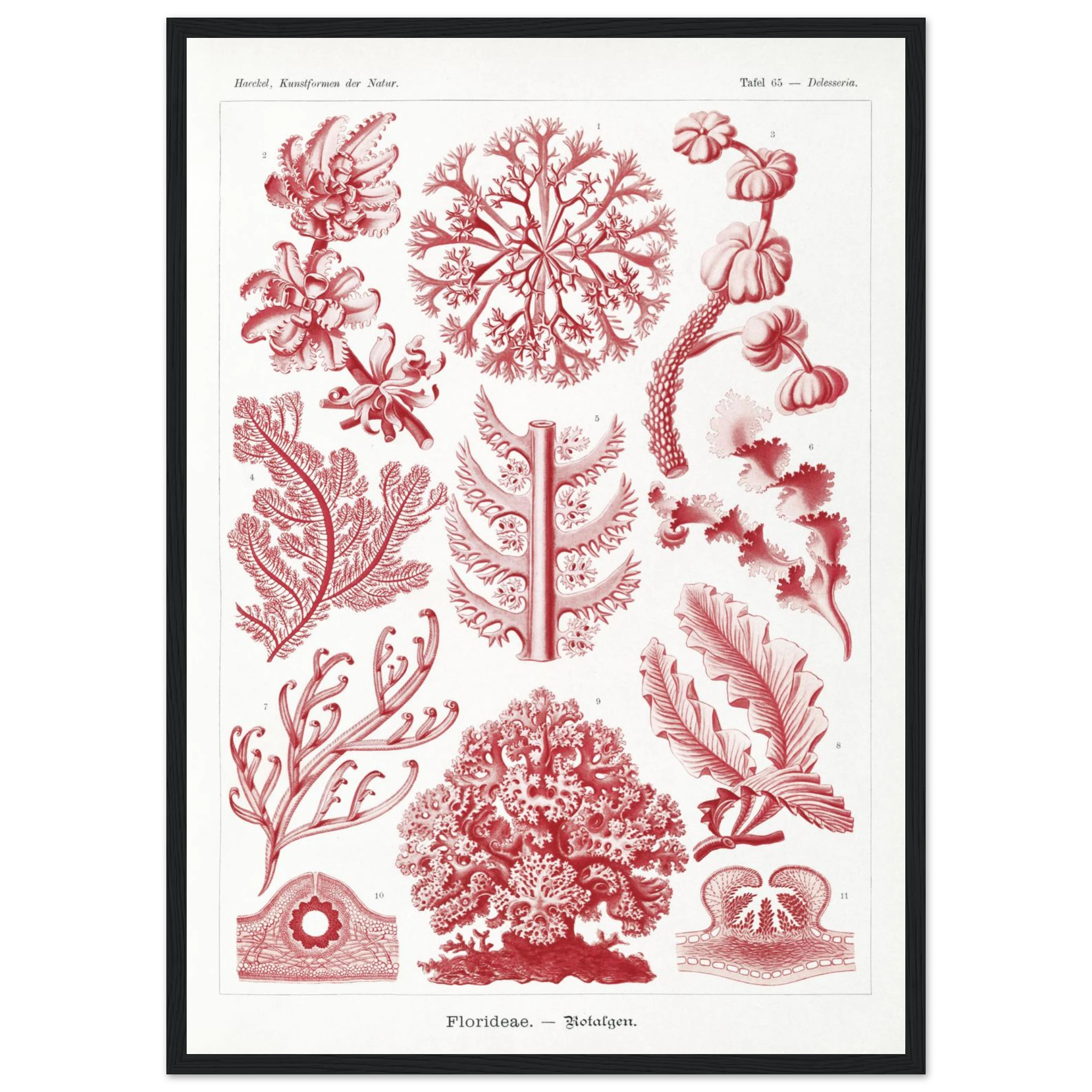 2b63981f-a10e-4f0d-b24c-3c03cbeff5e0