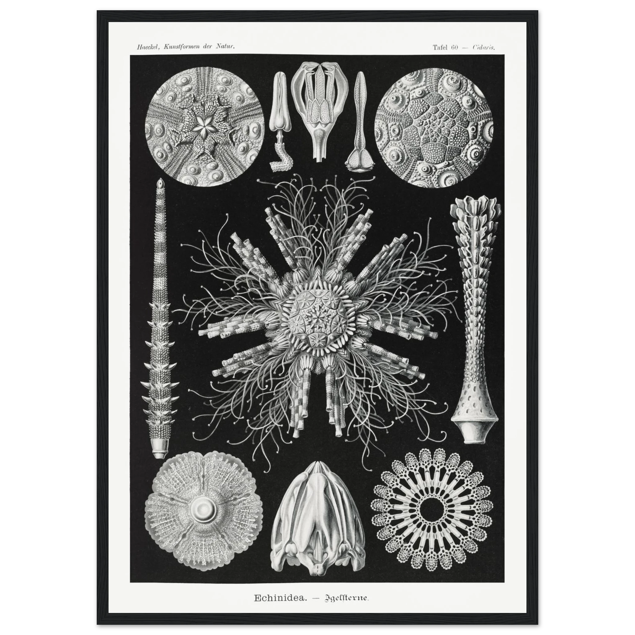 2cbffe12-6abf-43e9-a68c-84c11a37484a