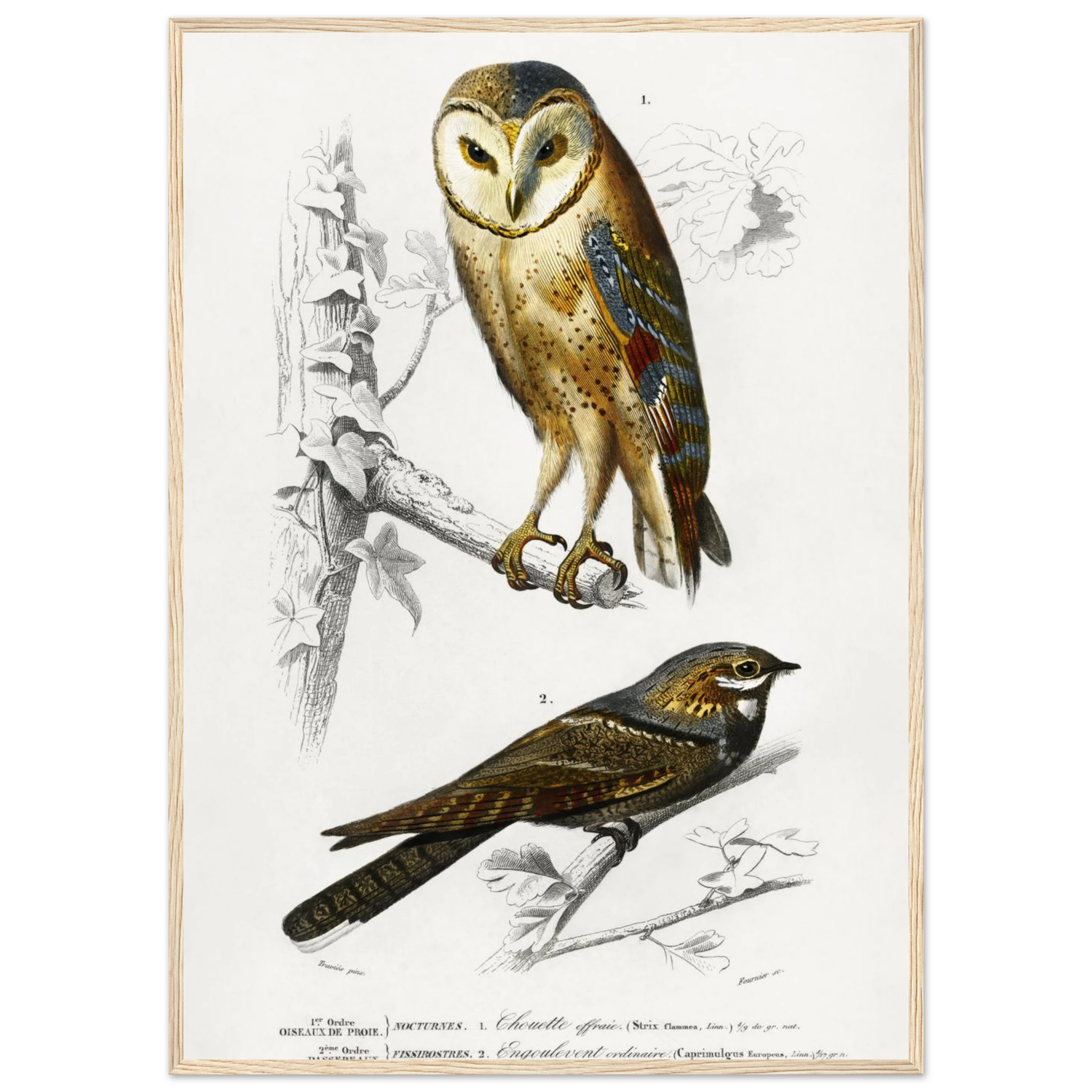 2dd1a1d3-4085-4002-9c39-5ca1119f23e7