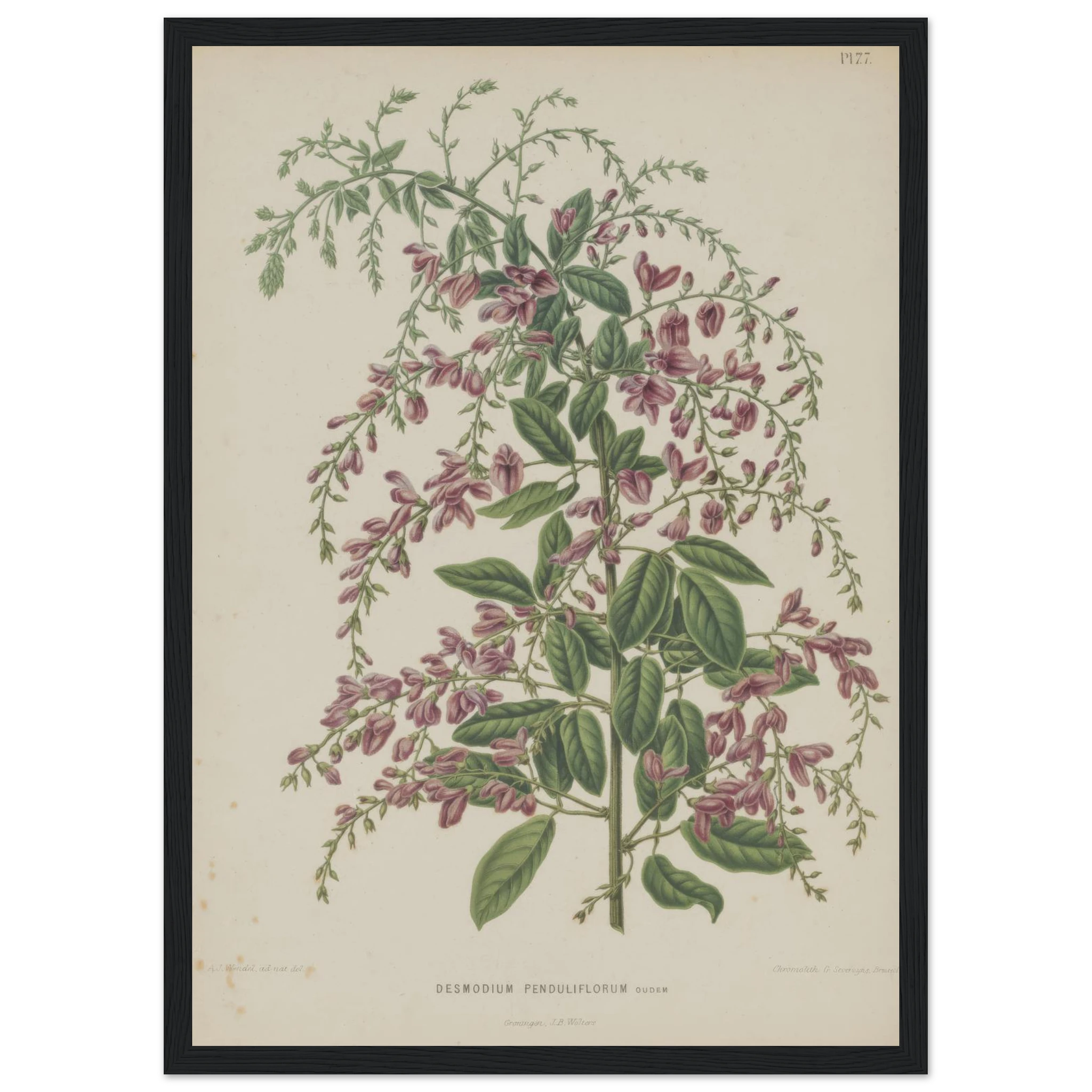 2de178c1-9def-41ca-8de7-7115cce91480