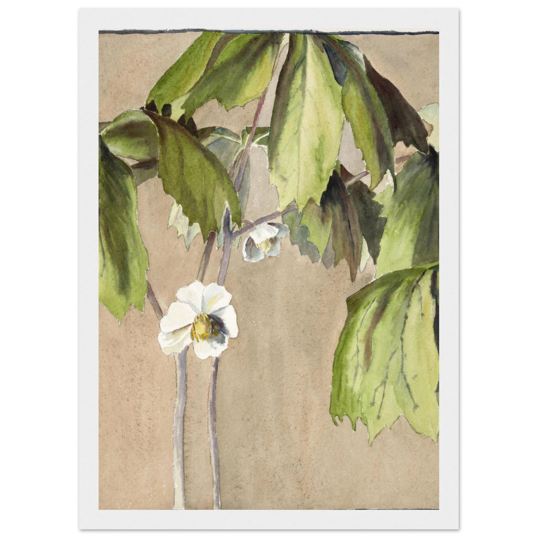 2e3b81f2-1d00-4b72-91d4-d839cbb9af0c