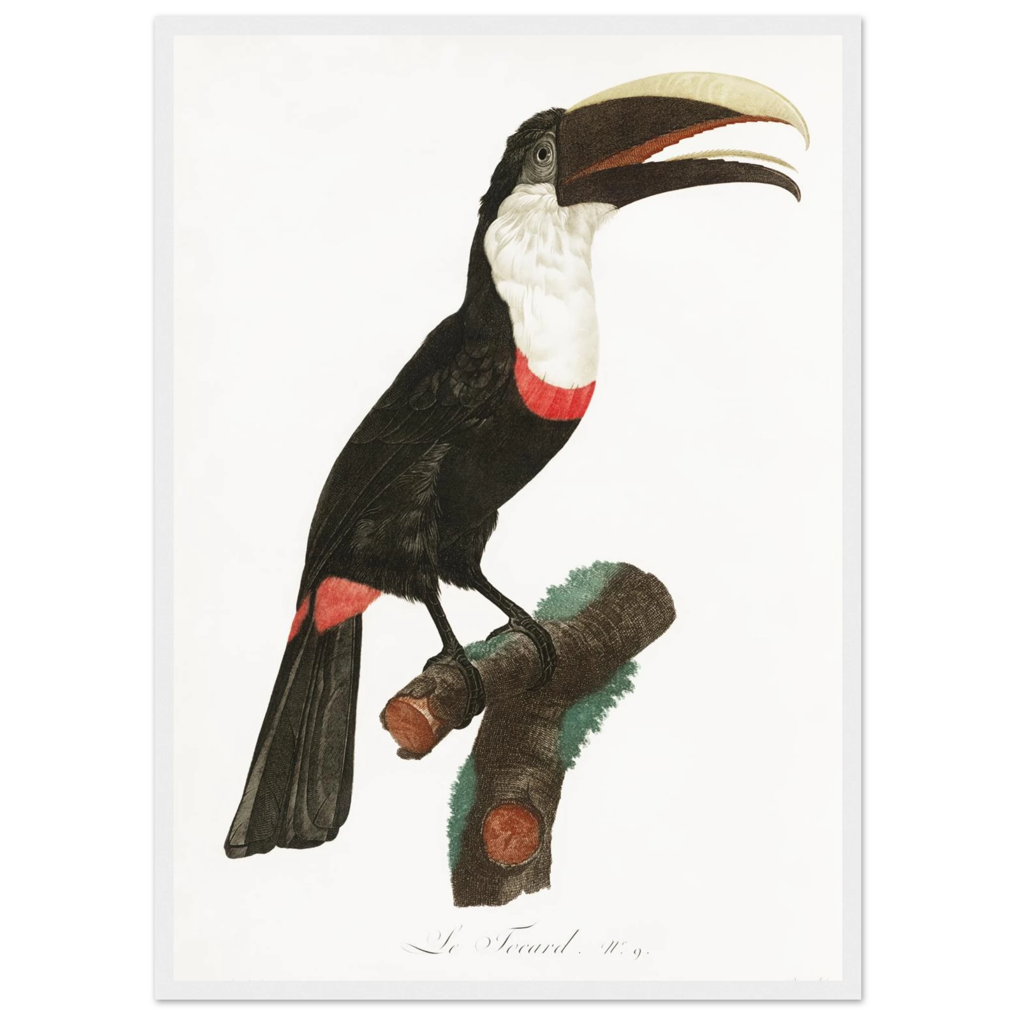 2e66e1b9-70bb-4ce2-ae45-828833ec8f86