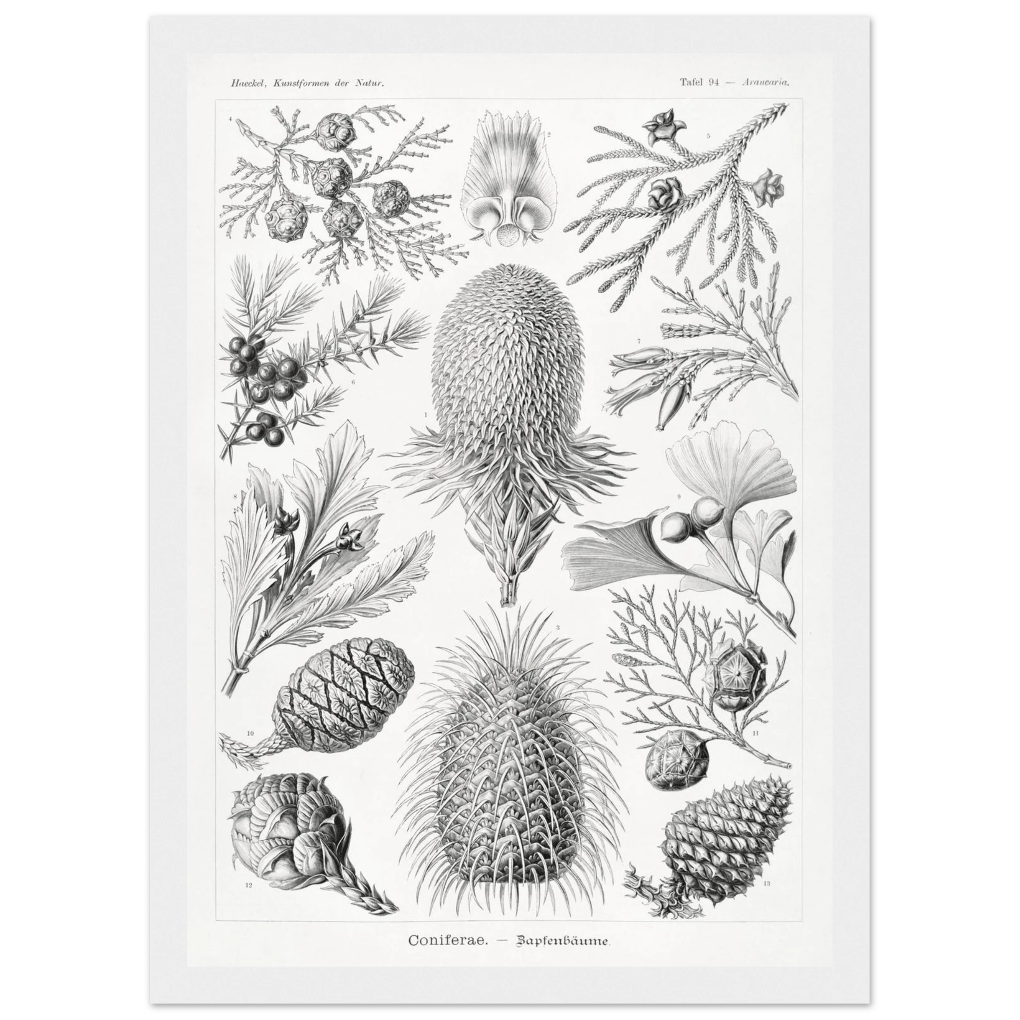 2e76363f-0d87-4e68-87b1-2de52281b457