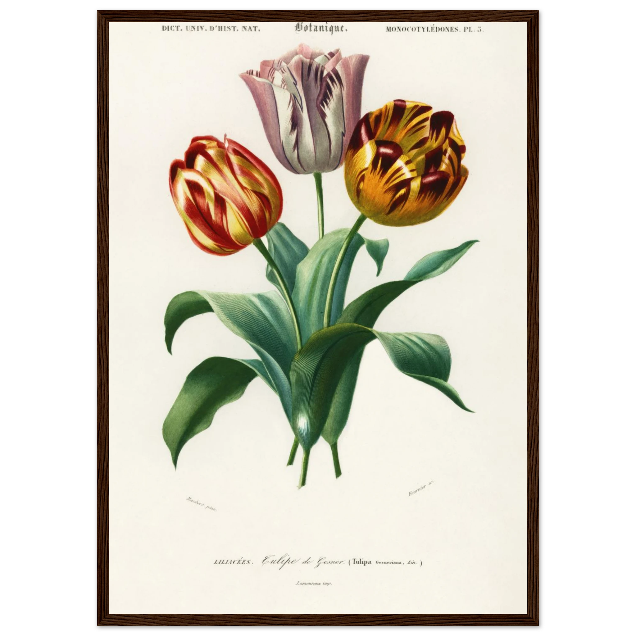 2e857267-a5b5-4058-bf71-cb39b3f3de57