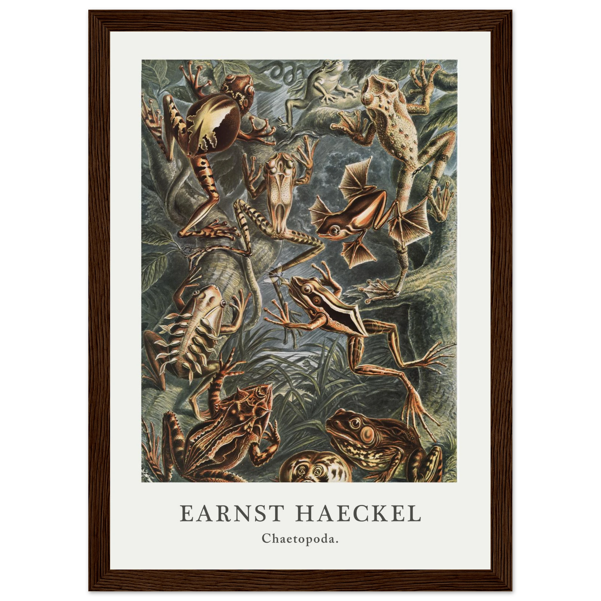 2ea35b36-65e2-468a-a708-d0a34ad96b45