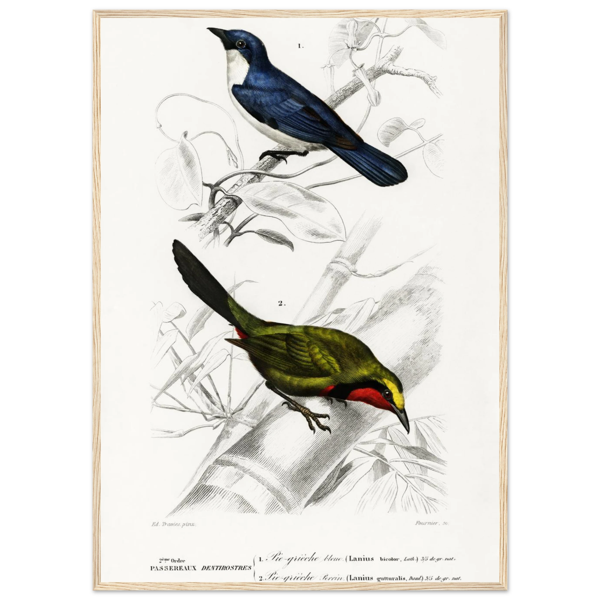 2eadadb3-e26f-4d6f-ab9c-2a10e9efd17d