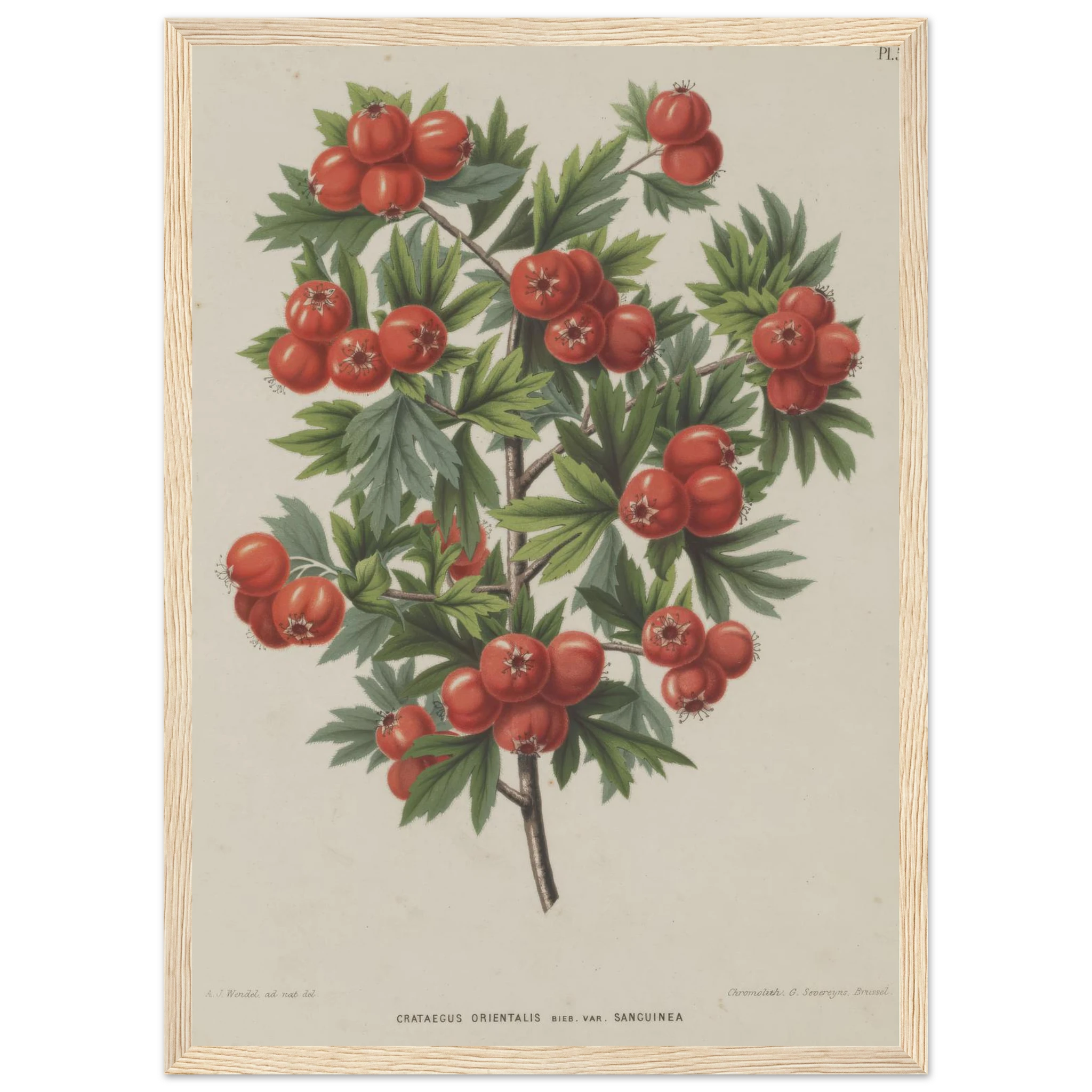 2eb28cb7-bdef-4c86-9f4d-a106cb08bcb6