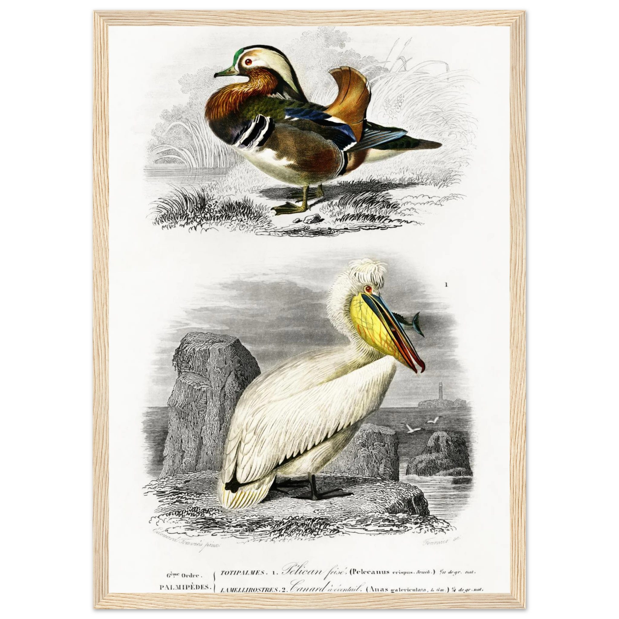 2f45fa9d-b1b9-438d-aa72-55141c8f5726