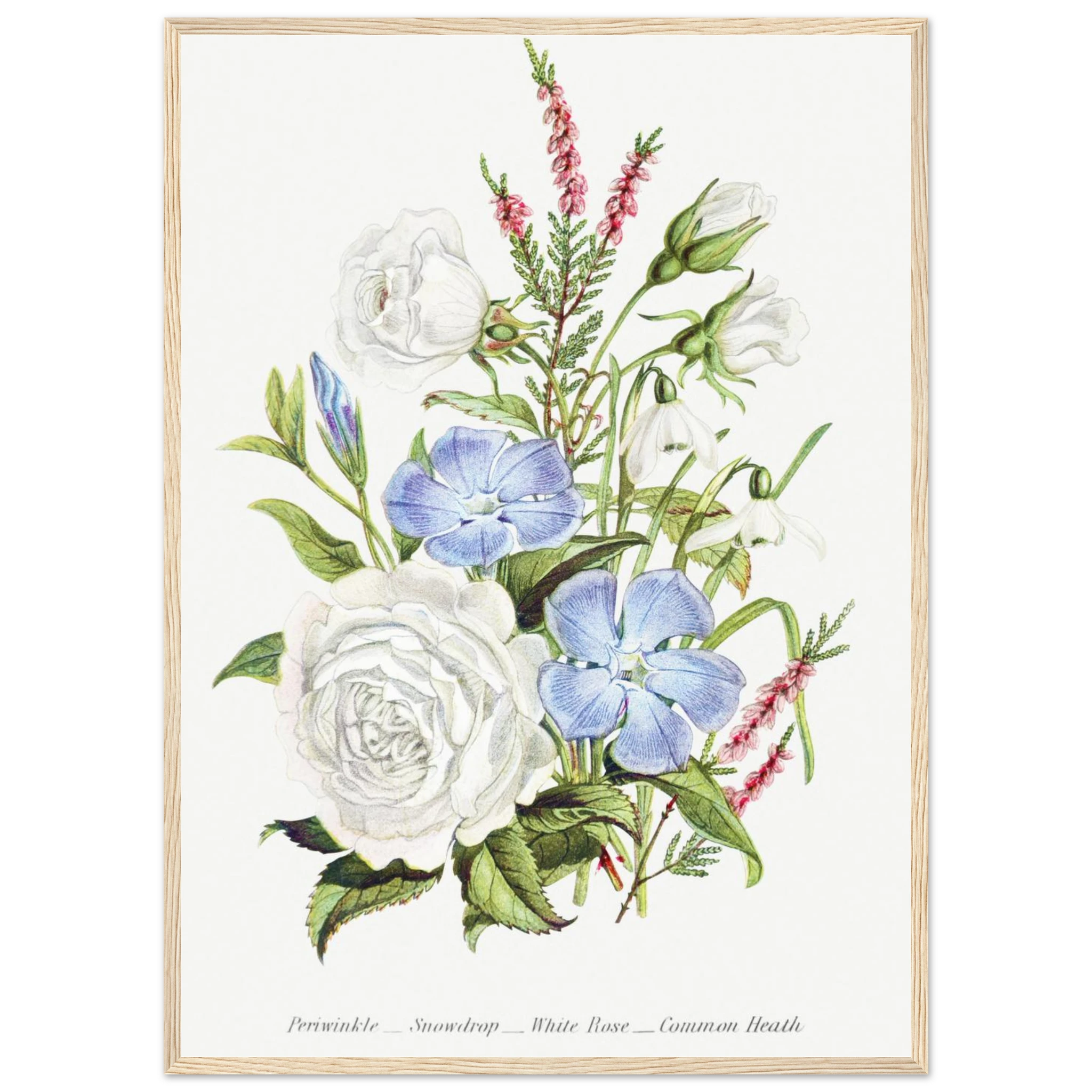 2f6146ec-91bc-469a-8fd5-fe34873cee41